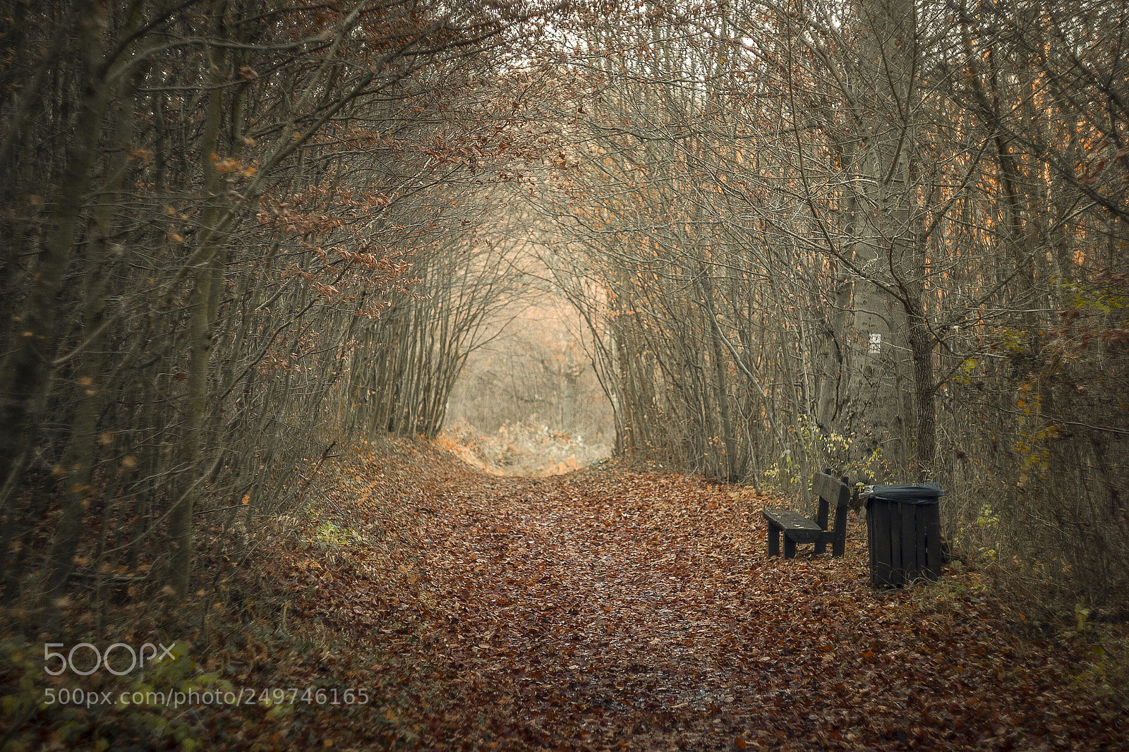 Canon EOS 20D sample photo. Autumn in budapest photography