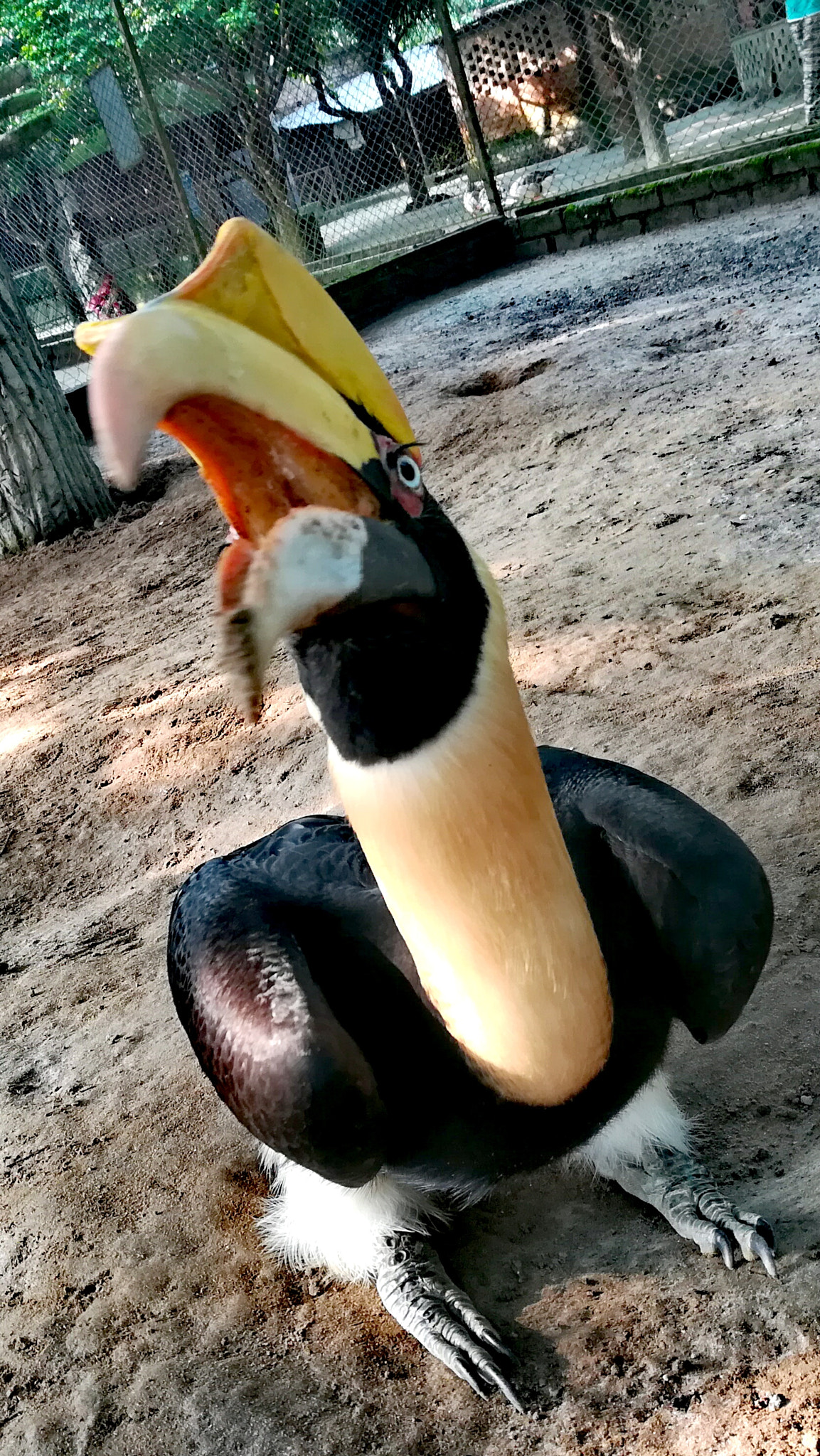 HUAWEI GR5 2017 sample photo