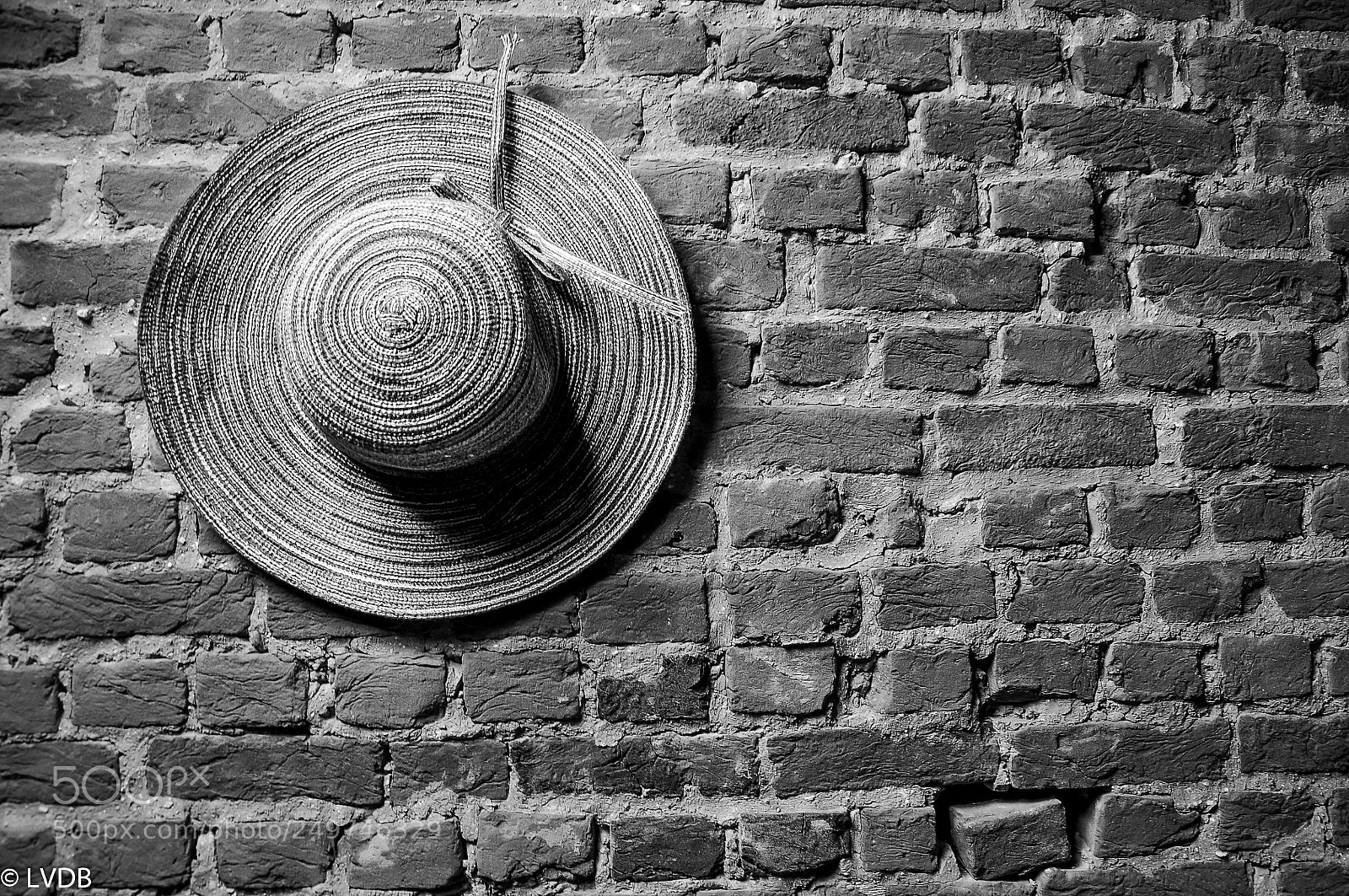 Nikon D300 sample photo. Decoration photography