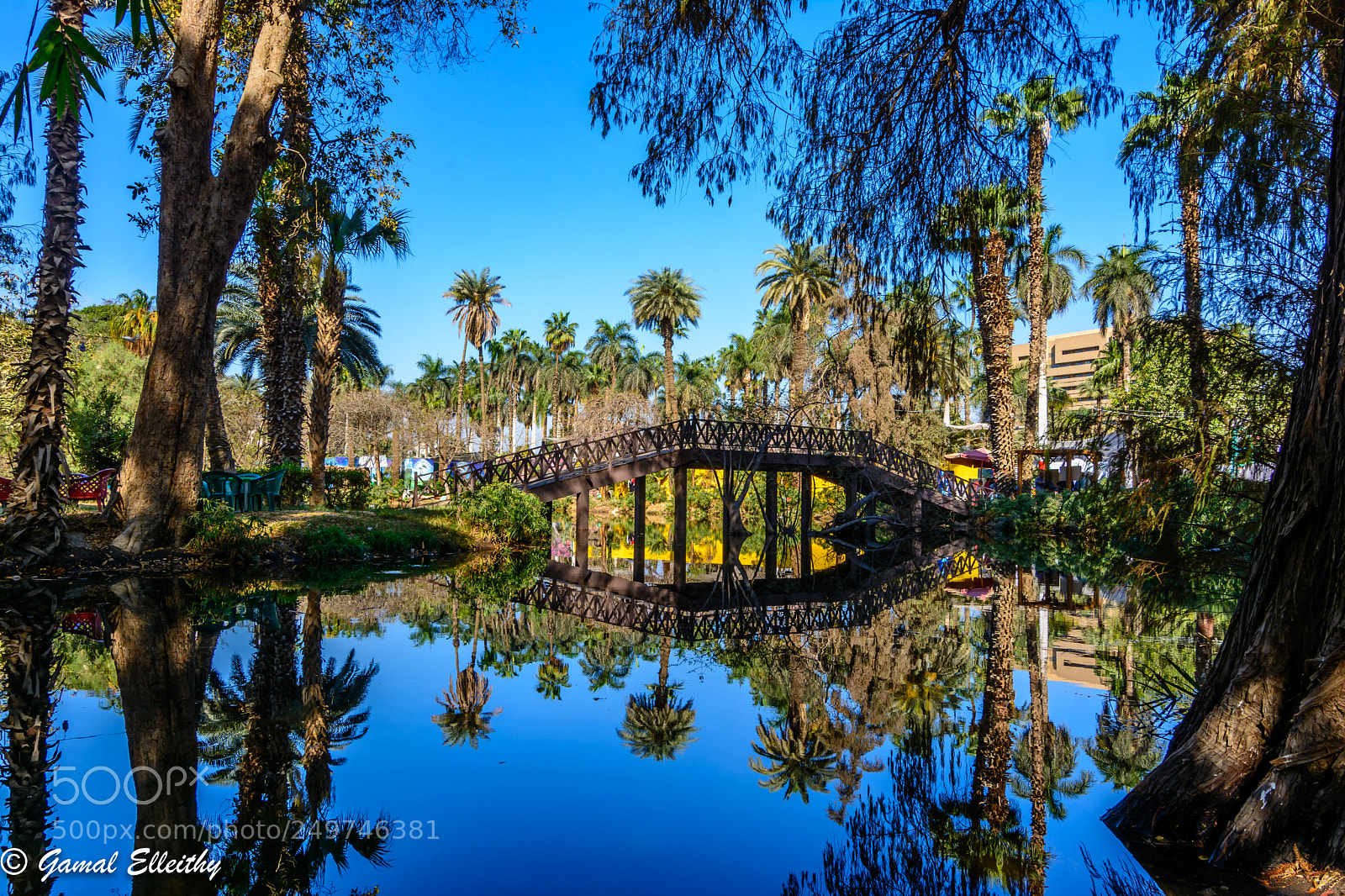 Nikon D7100 sample photo. Botanical garden photography
