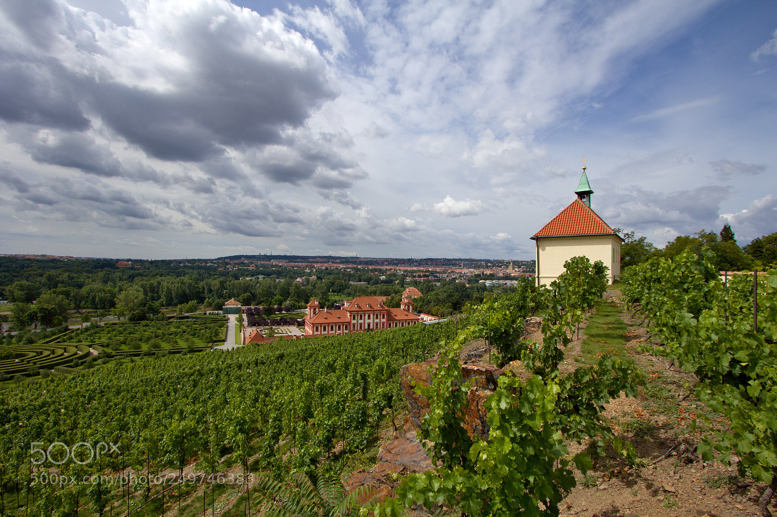 Canon EOS 60D sample photo. The vineyard of st photography