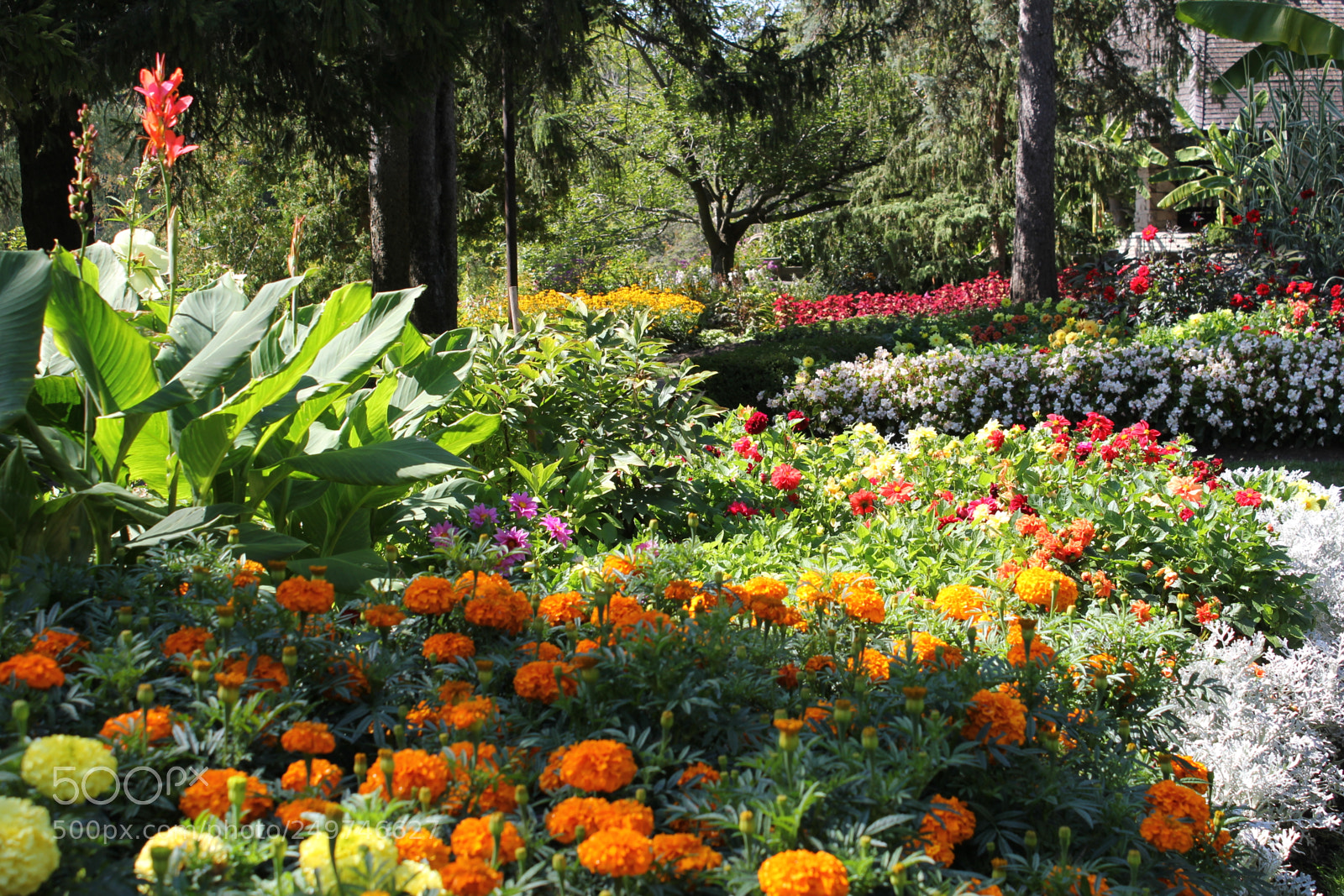 Canon EOS 550D (EOS Rebel T2i / EOS Kiss X4) sample photo. Edward's gardens, toronto, ontario photography