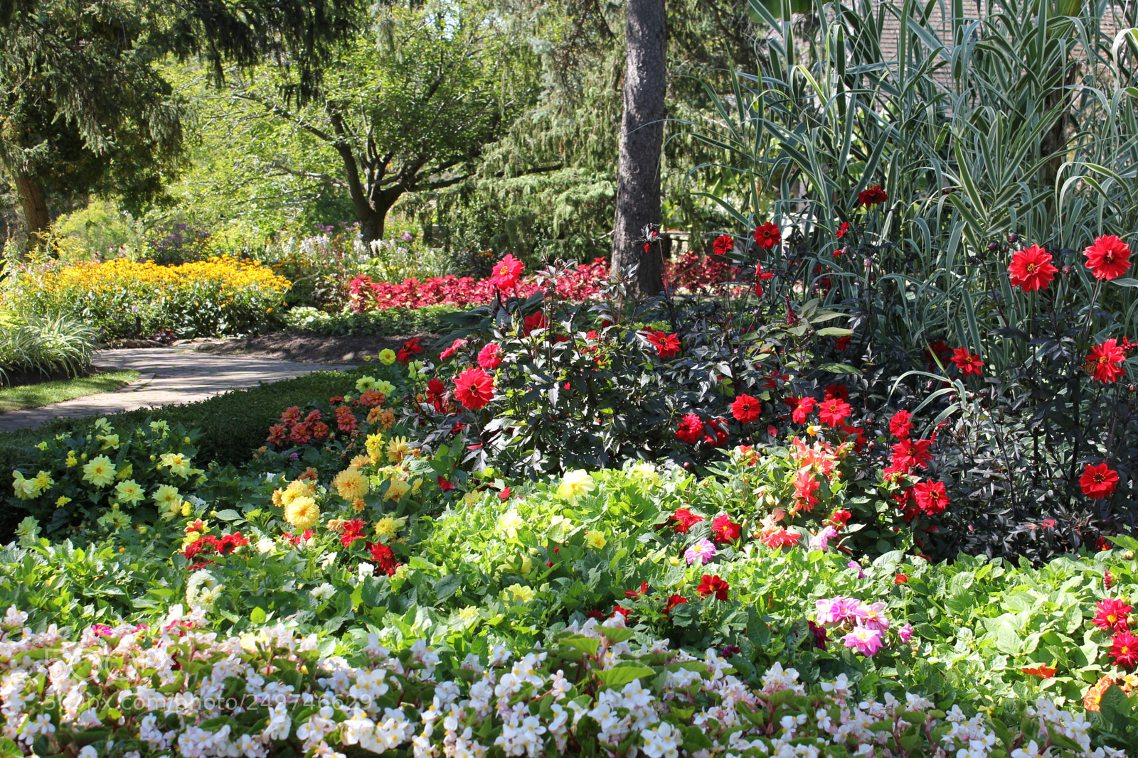 Canon EOS 550D (EOS Rebel T2i / EOS Kiss X4) sample photo. Edward's gardens, toronto, ontario photography