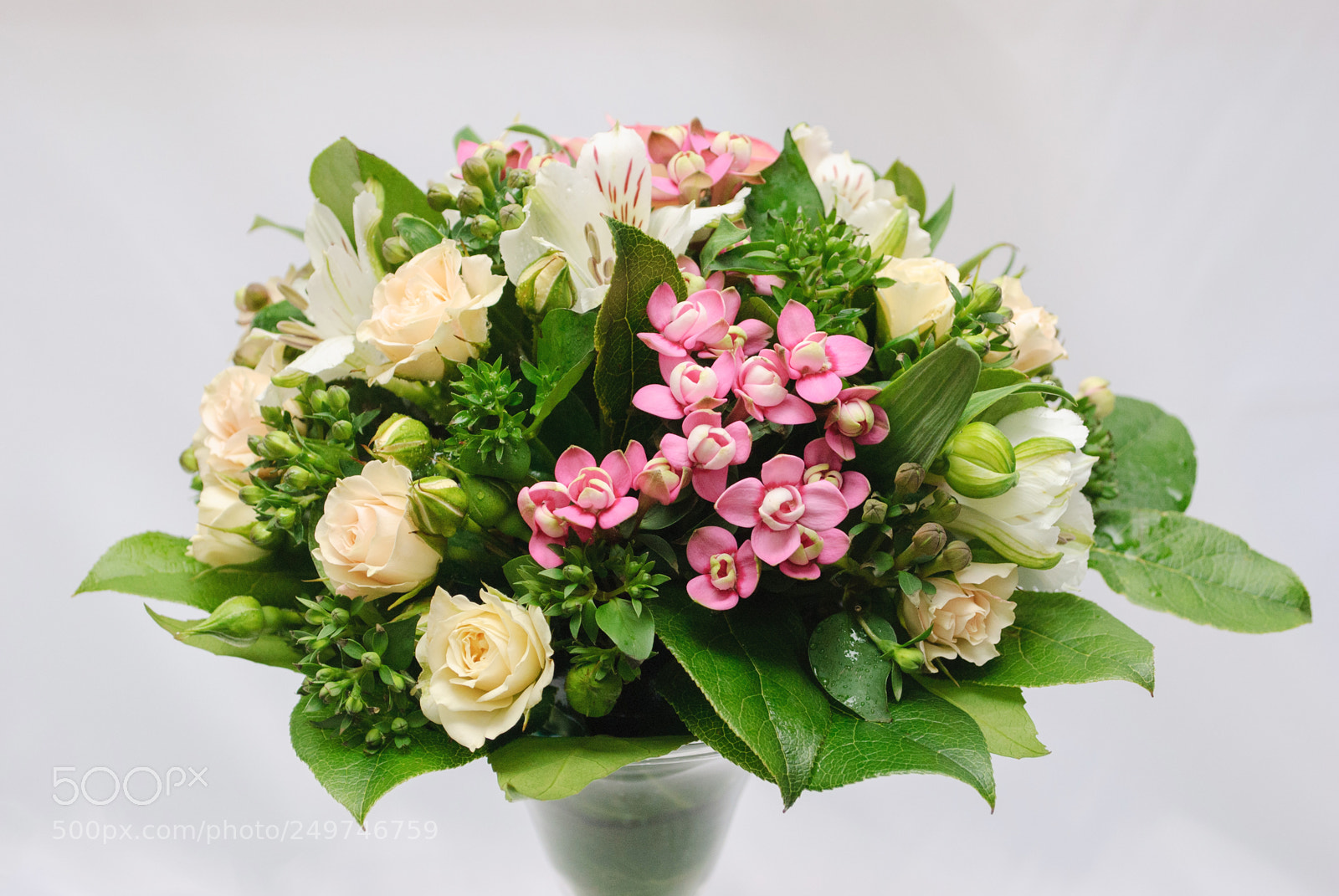Nikon D3000 sample photo. Close up of greeting photography