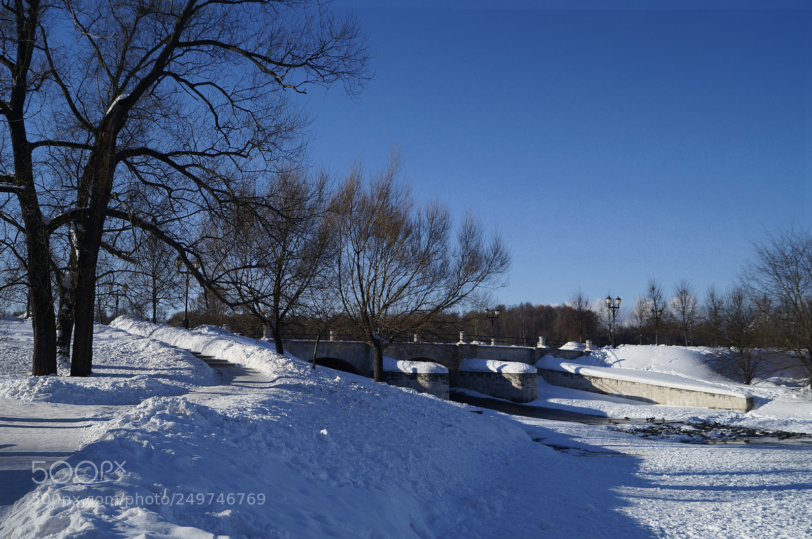 Sony SLT-A57 sample photo. Untitled photography