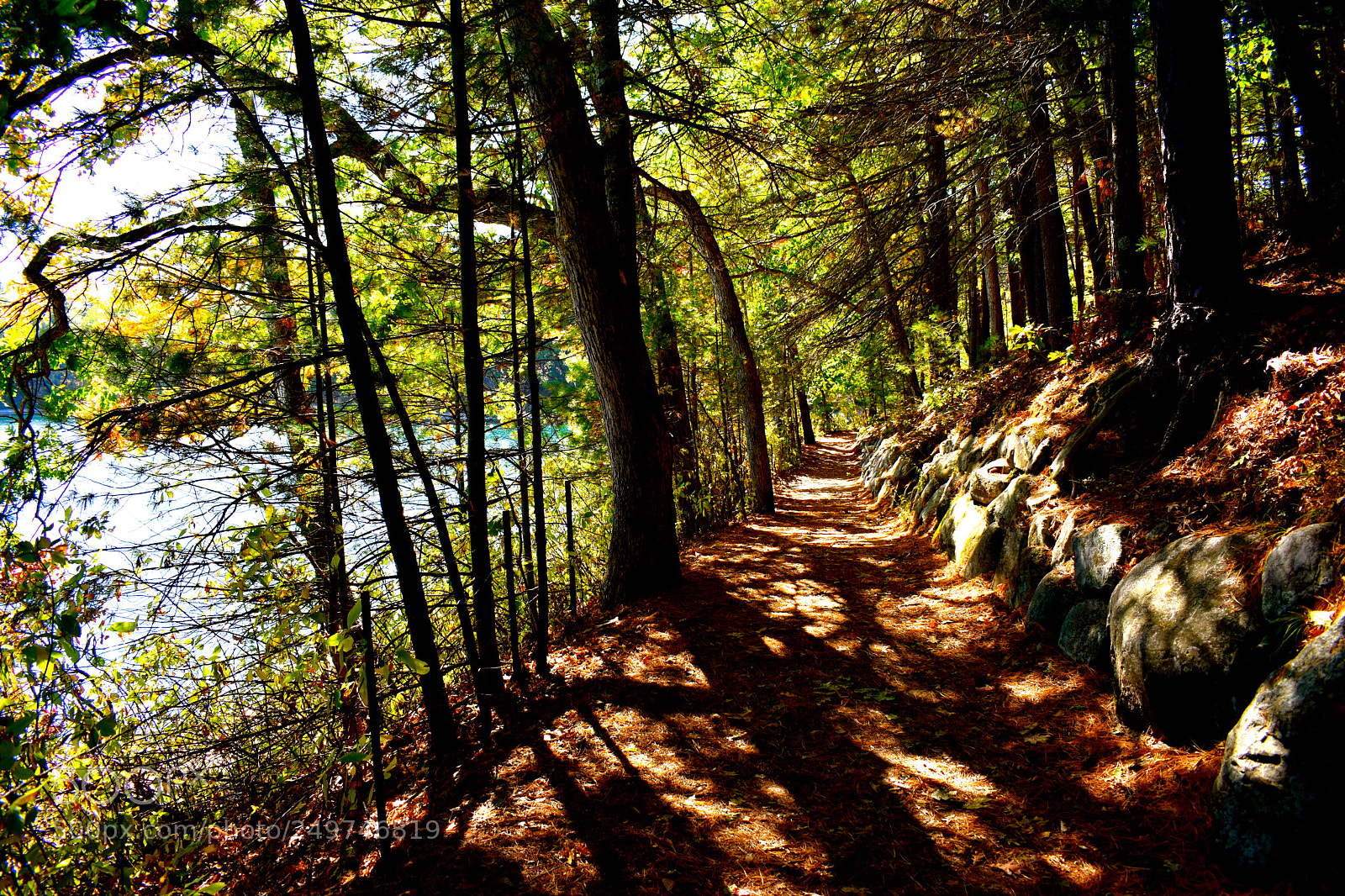 Nikon D3400 sample photo. Walden pond hiking trail photography