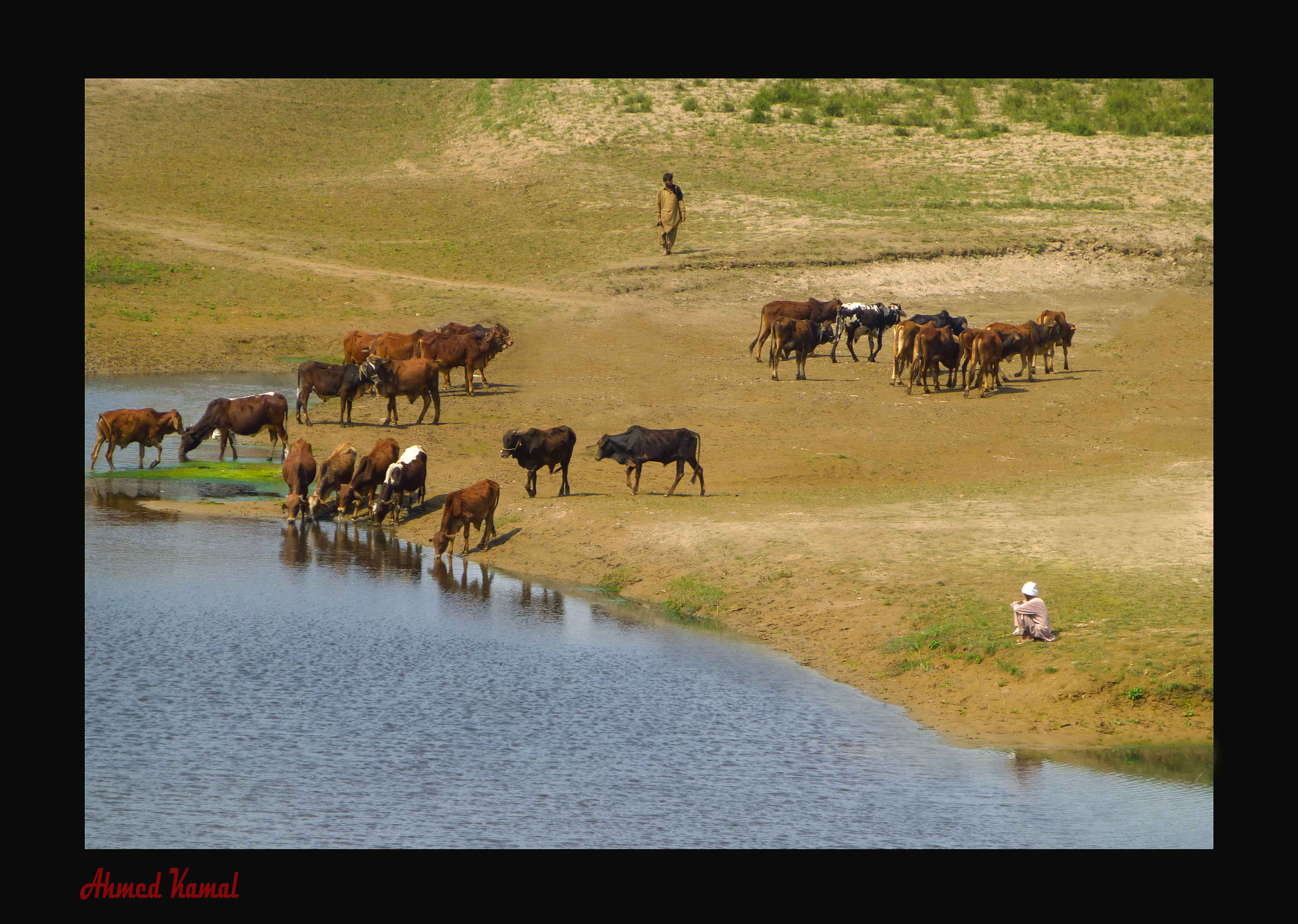 Panasonic Lumix DMC-ZS20 (Lumix DMC-TZ30) sample photo. Life at chanab river photography