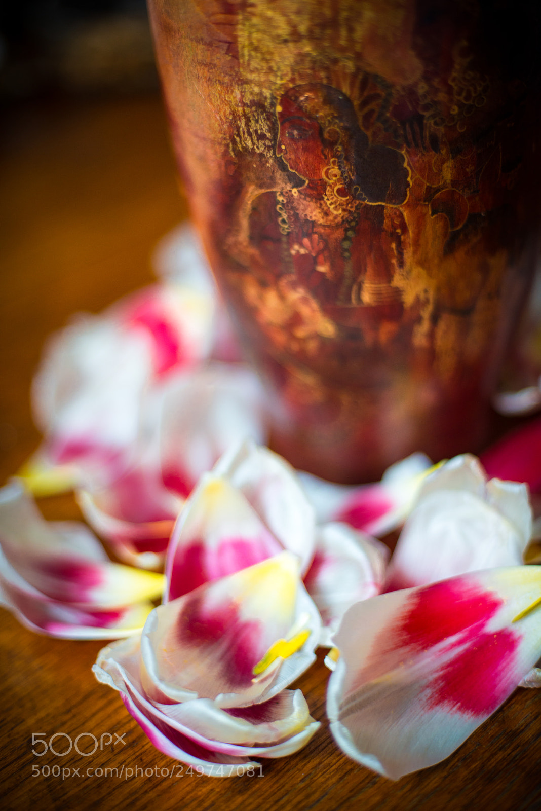 Nikon D800 sample photo. Tulip-petals, fallen from the photography