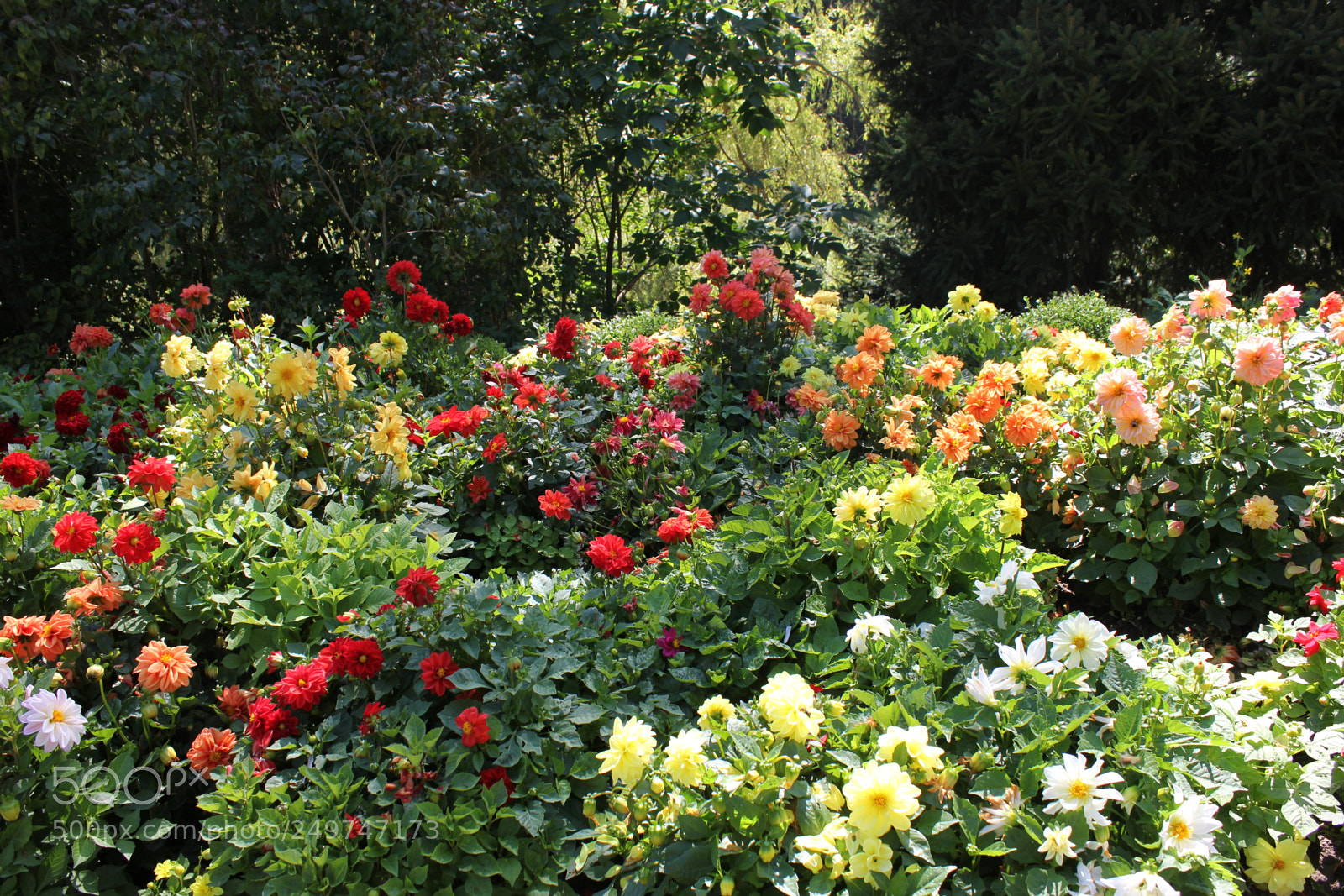 Canon EOS 550D (EOS Rebel T2i / EOS Kiss X4) sample photo. Edward's gardens, toronto, ontario photography