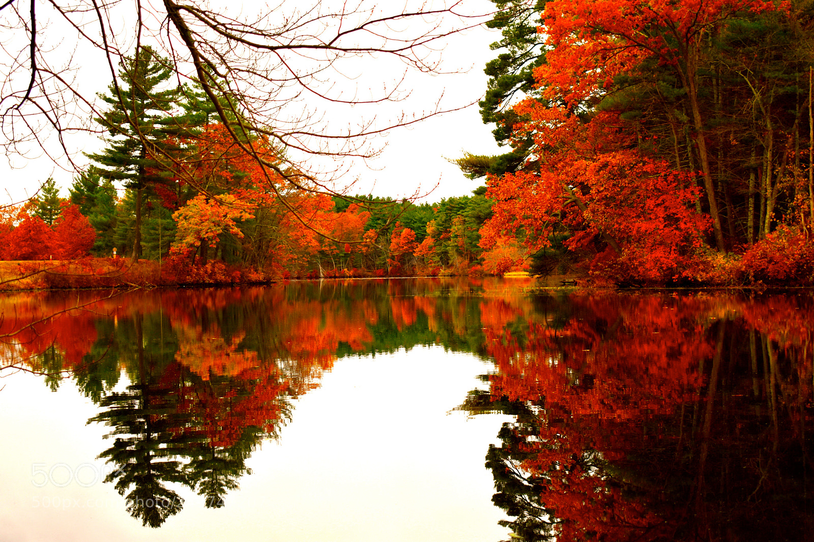 Nikon D3400 sample photo. Peak new england foliage photography