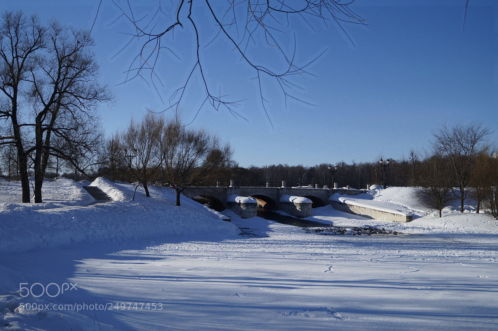 Sony SLT-A57 sample photo. Untitled photography