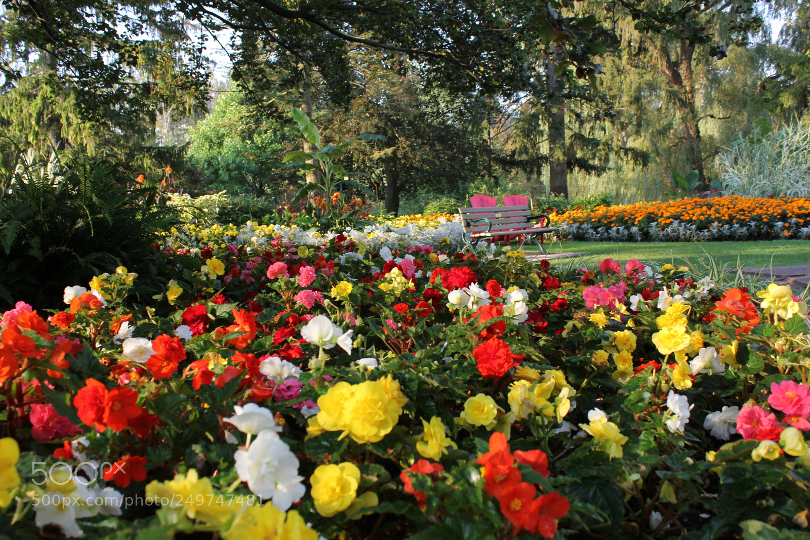Canon EOS 550D (EOS Rebel T2i / EOS Kiss X4) sample photo. Edward's gardens, toronto, ontario photography