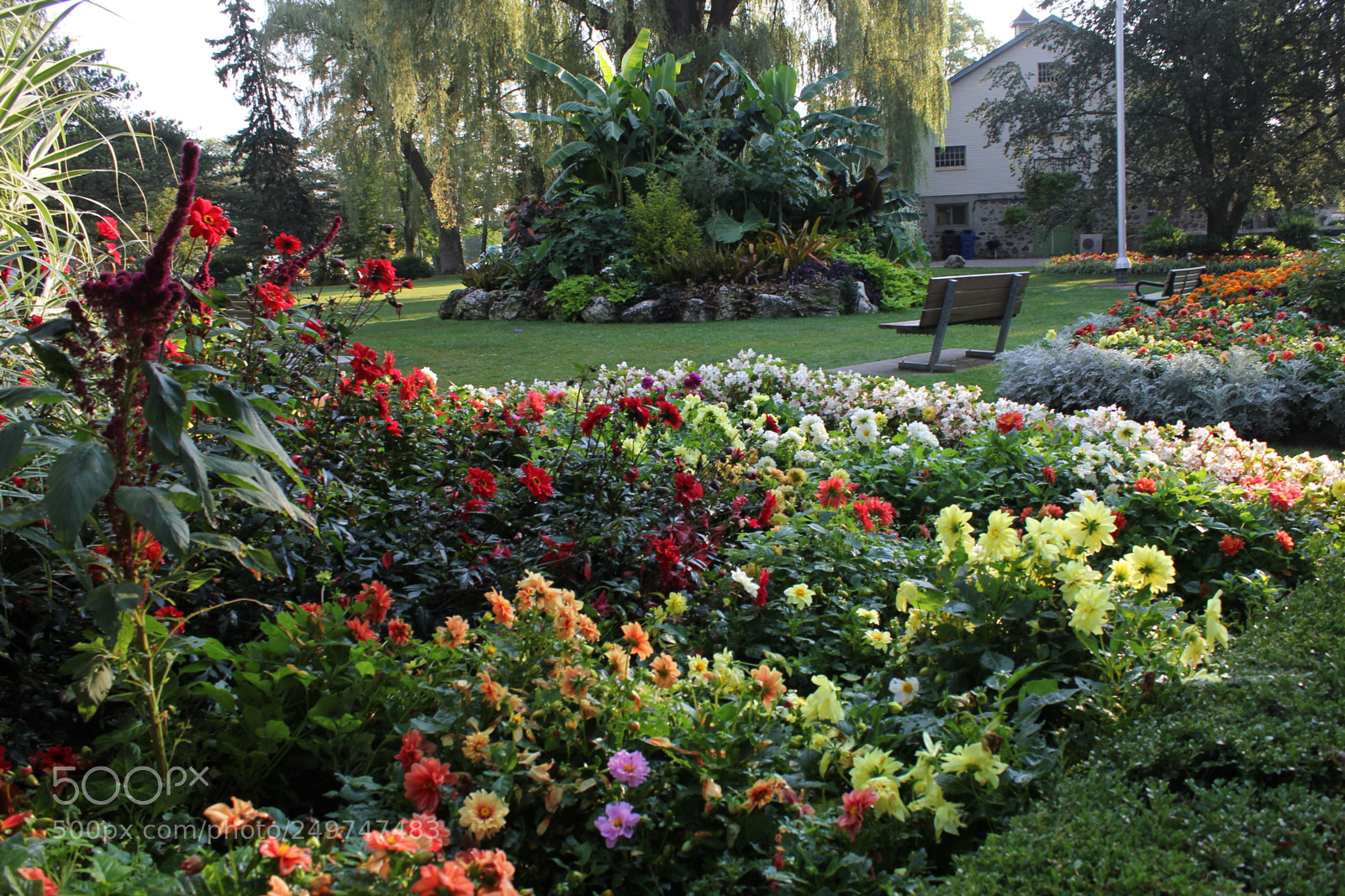 Canon EOS 550D (EOS Rebel T2i / EOS Kiss X4) sample photo. Edward's gardens, toronto, ontario photography