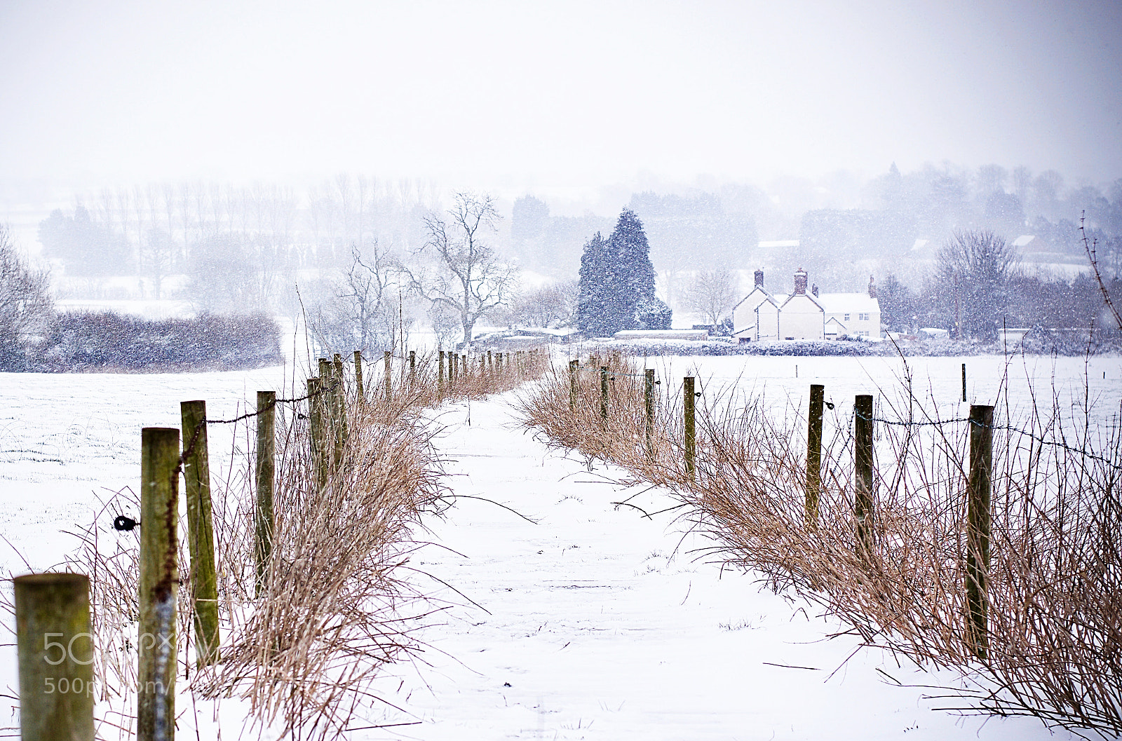 Nikon D7100 sample photo. Winter views photography