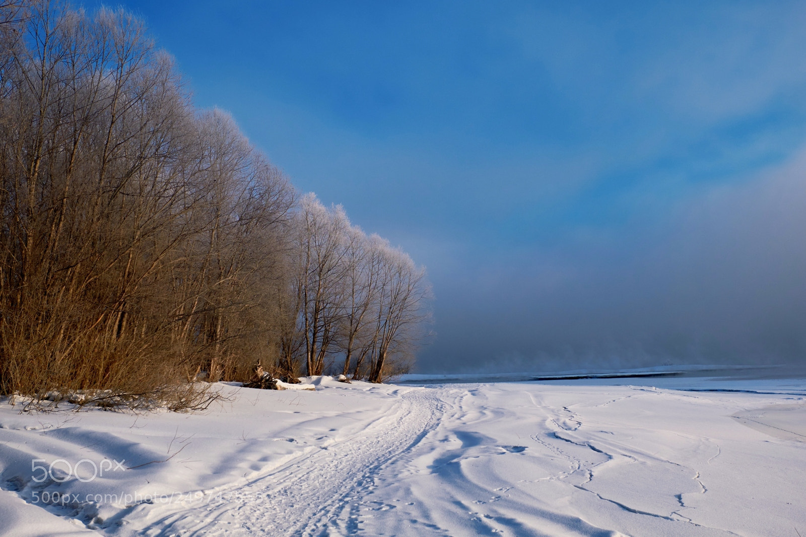 Fujifilm X-M1 sample photo. Bank of the river photography