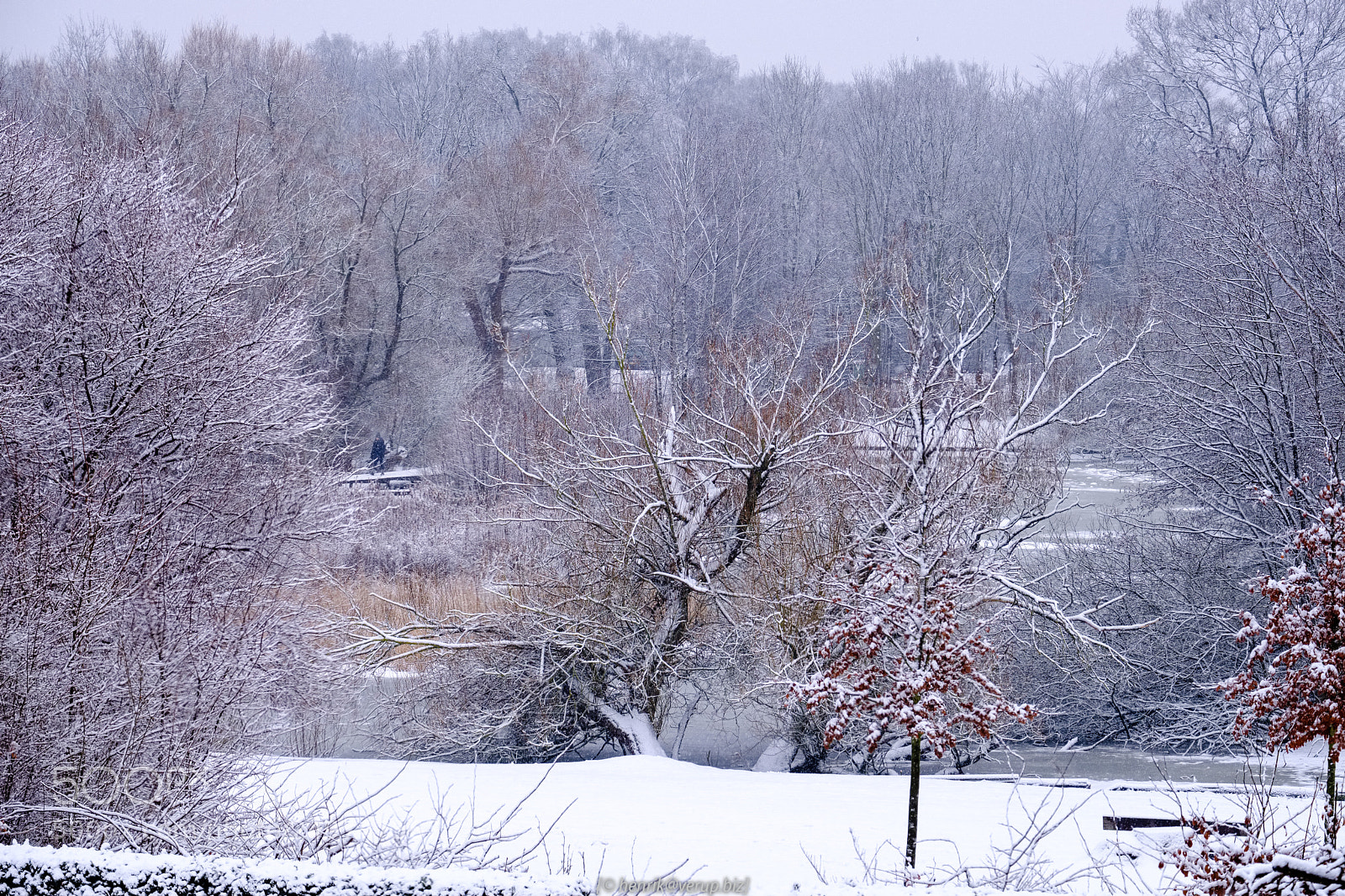 Fujifilm X-T20 sample photo. Last snow? photography