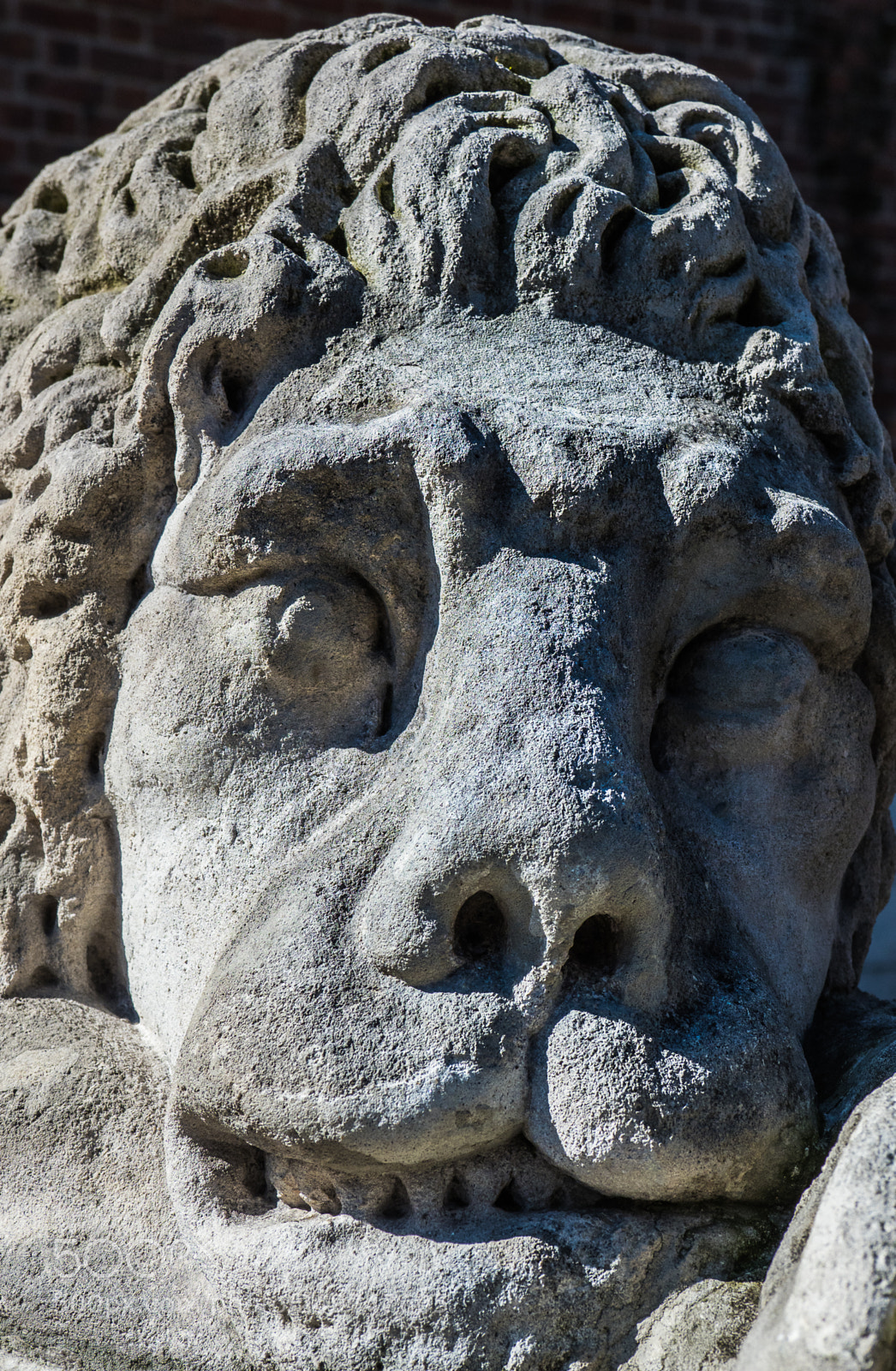 Olympus OM-D E-M1 Mark II sample photo. Olympus digital camera photography