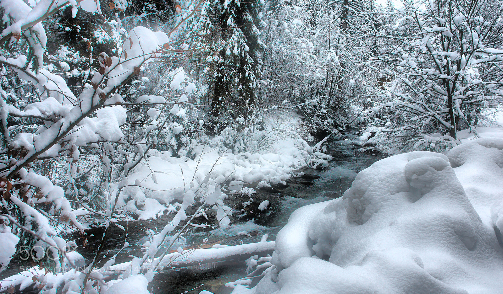 Sony DSC-R1 sample photo. After snowfall photography