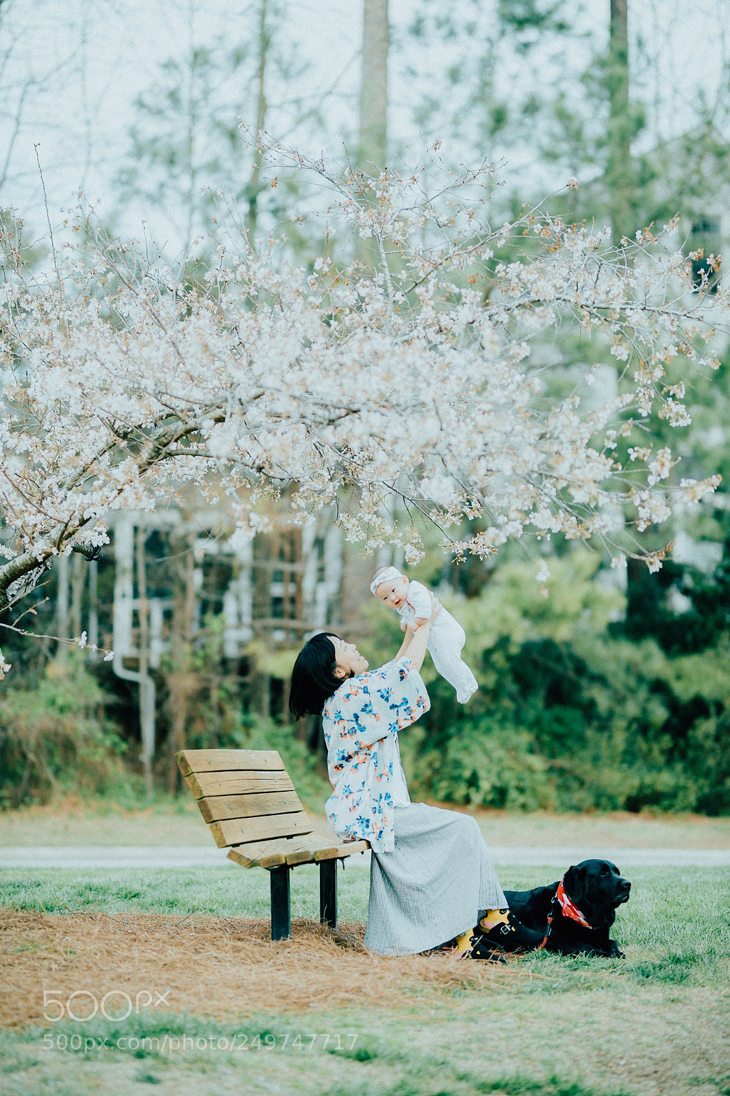 Canon EOS 5D Mark IV sample photo. Untitled photography