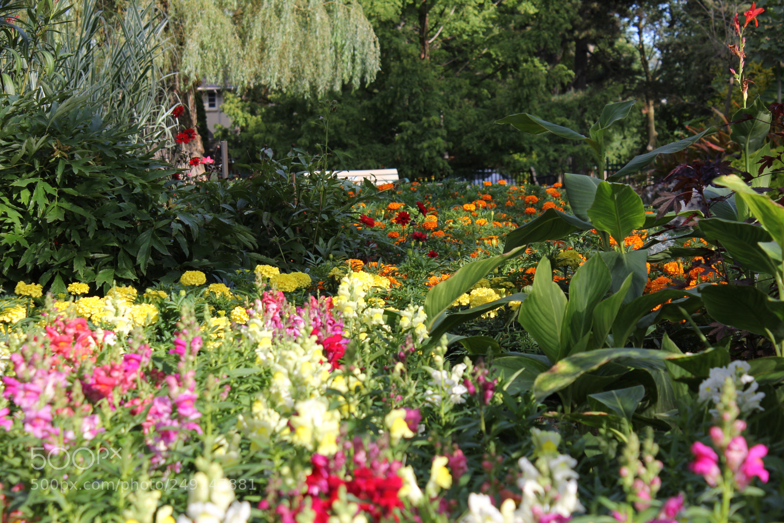 Canon EOS 550D (EOS Rebel T2i / EOS Kiss X4) sample photo. Edward's gardens, toronto, ontario photography