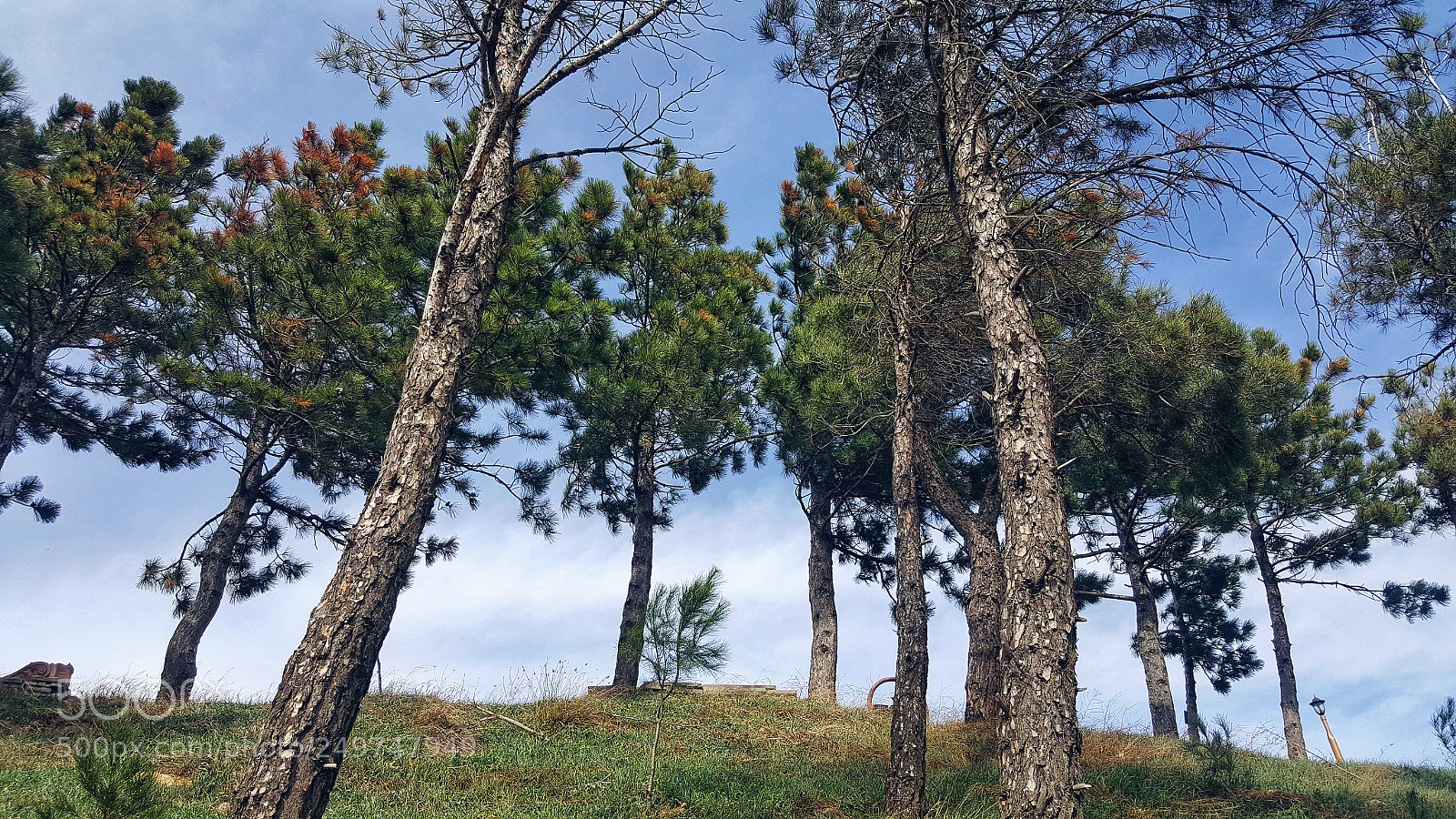 Samsung GALAXY S6 edge sample photo. Untitled photography