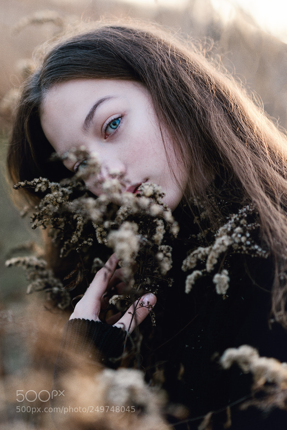 Nikon D800 sample photo. Eye photography