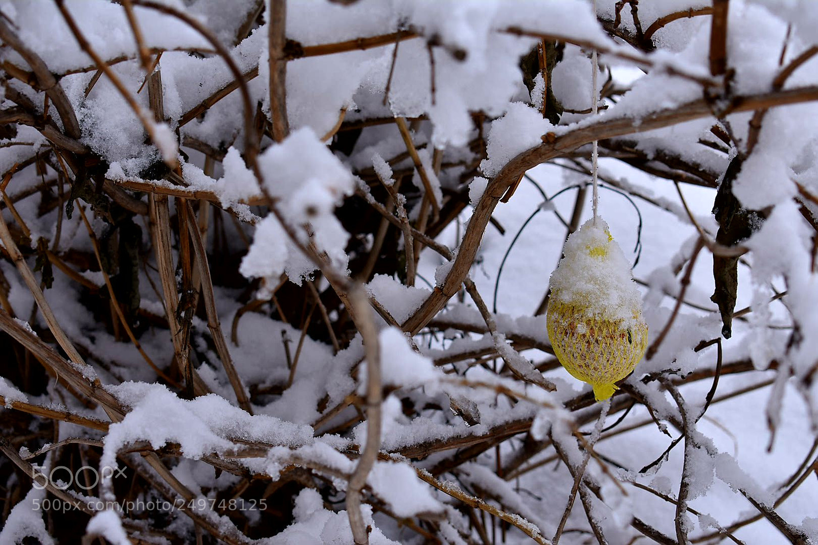 Nikon D3400 sample photo. Untitled photography