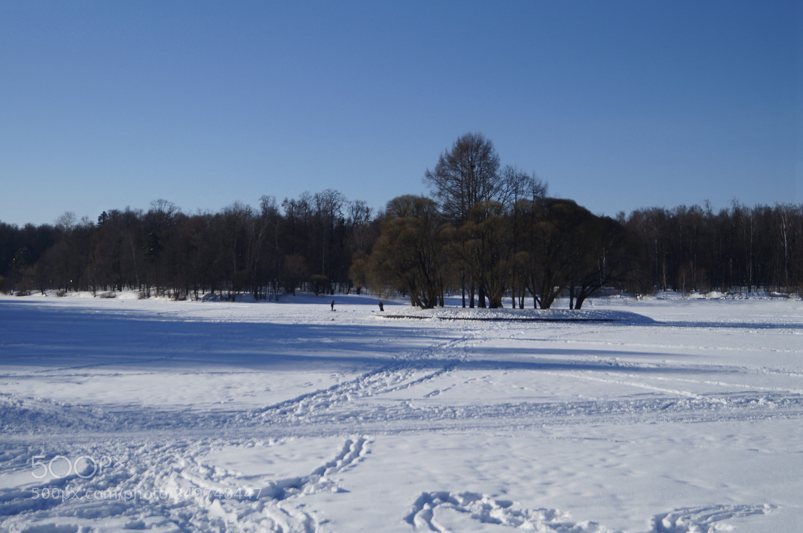 Sony SLT-A57 sample photo. Untitled photography