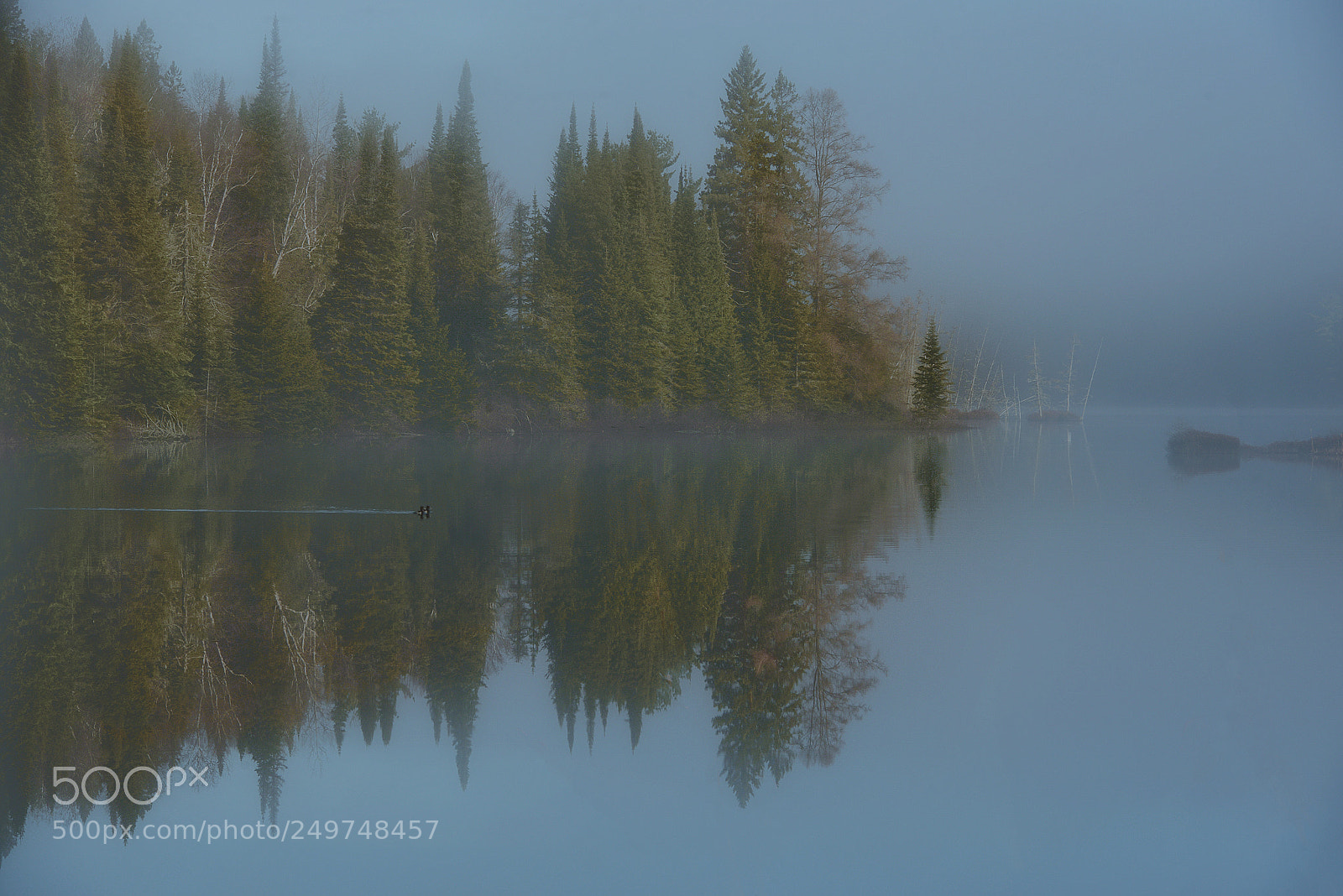 Nikon D600 sample photo. Sunrise algonquin park photography