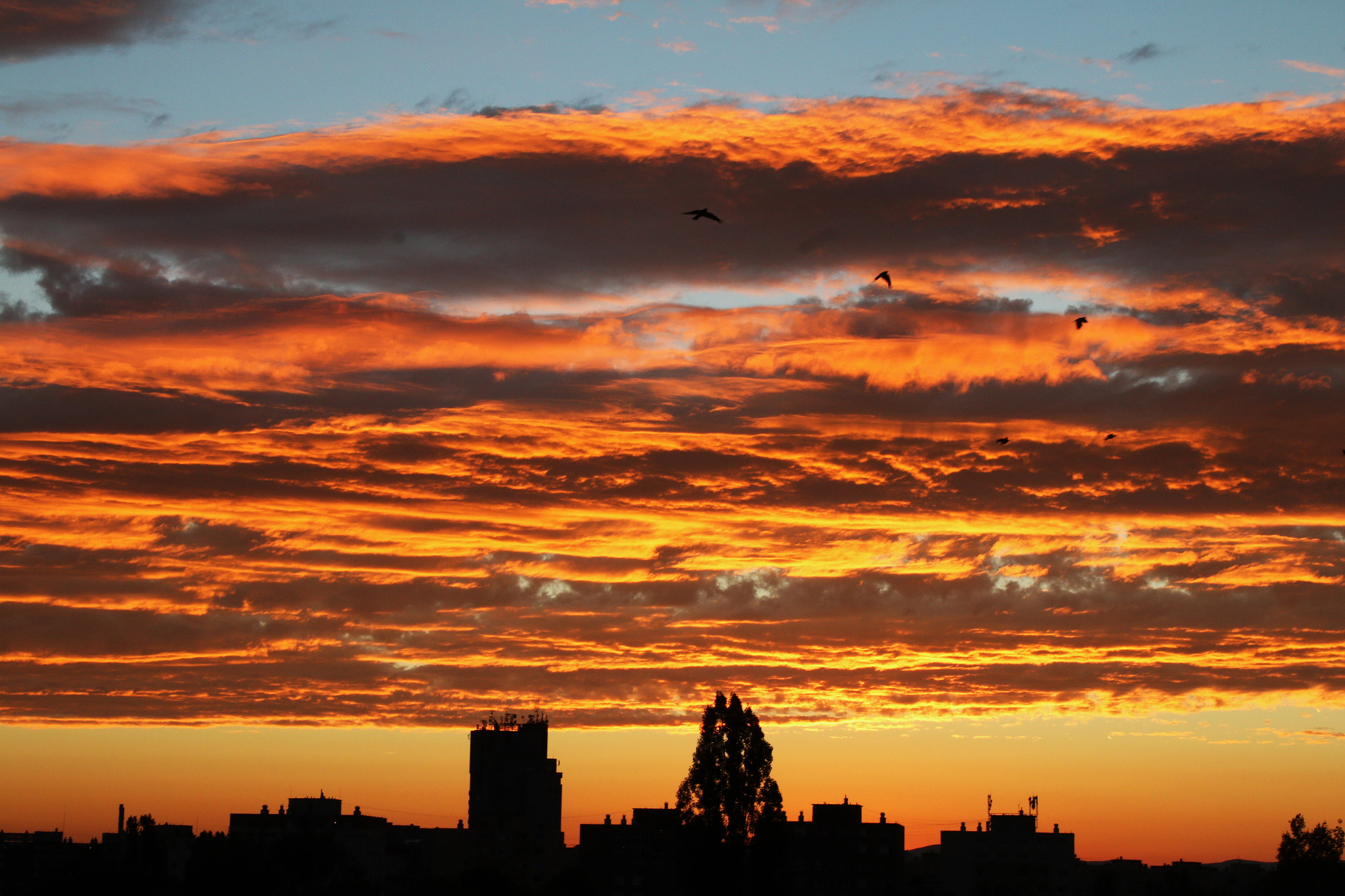 Canon EOS 70D sample photo. Summer tasteful sky photography