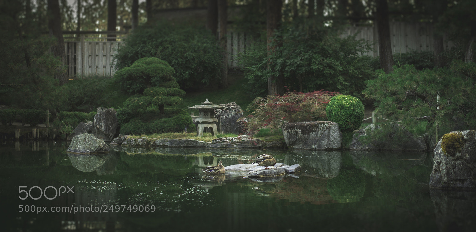 Nikon D610 sample photo. Manito park photography