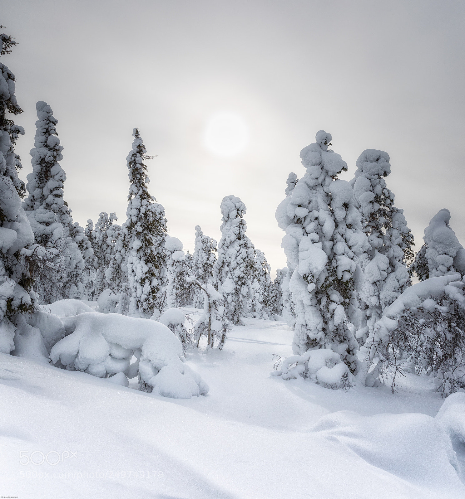 Canon EOS 5D Mark IV sample photo. Lapland finland photography