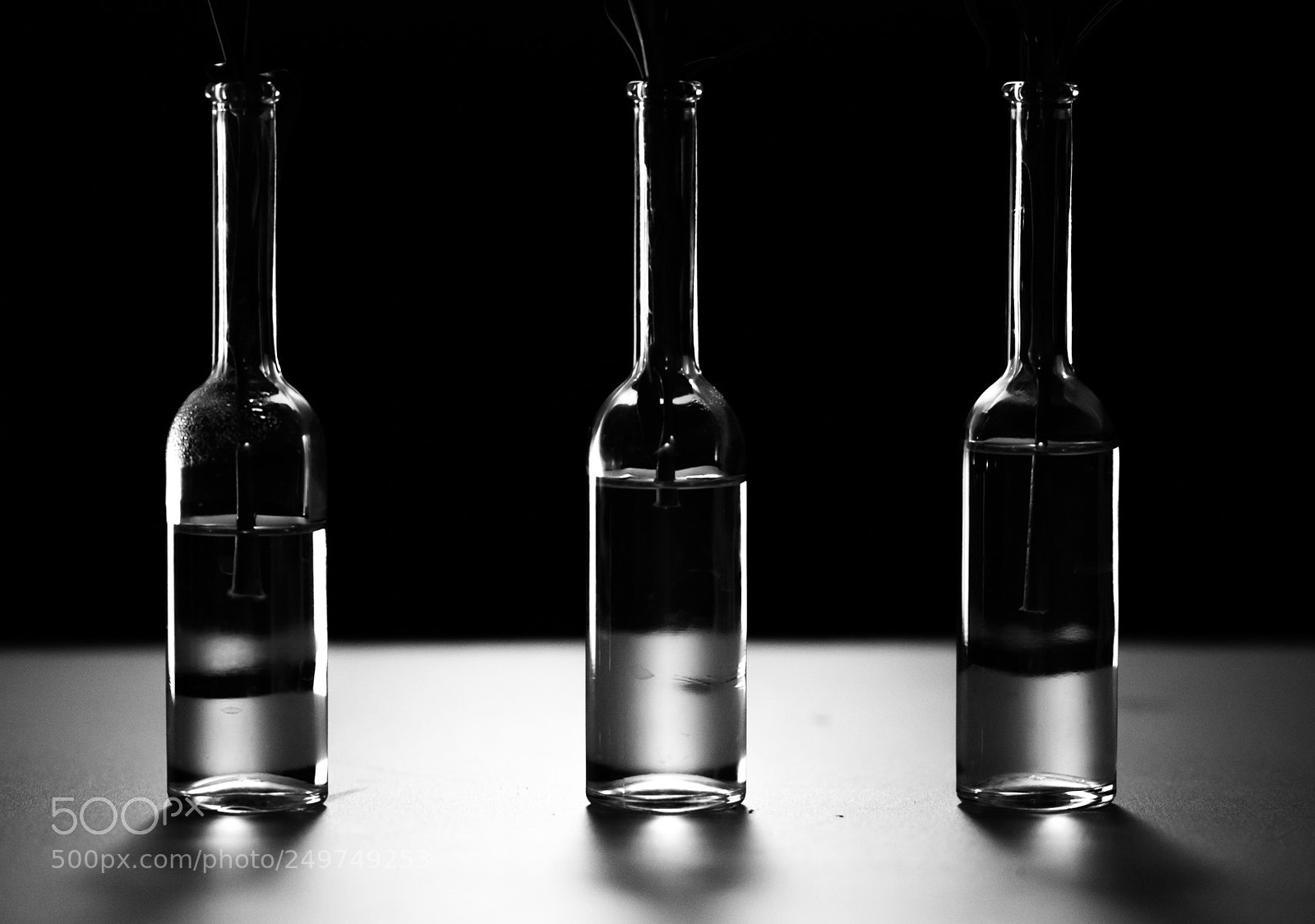 Nikon D5200 sample photo. Black and white photography