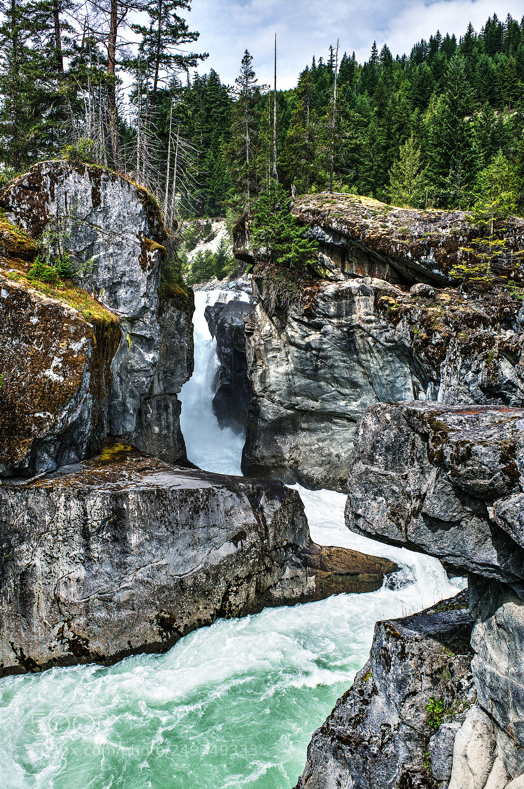 Nikon D3X sample photo. Wild water photography