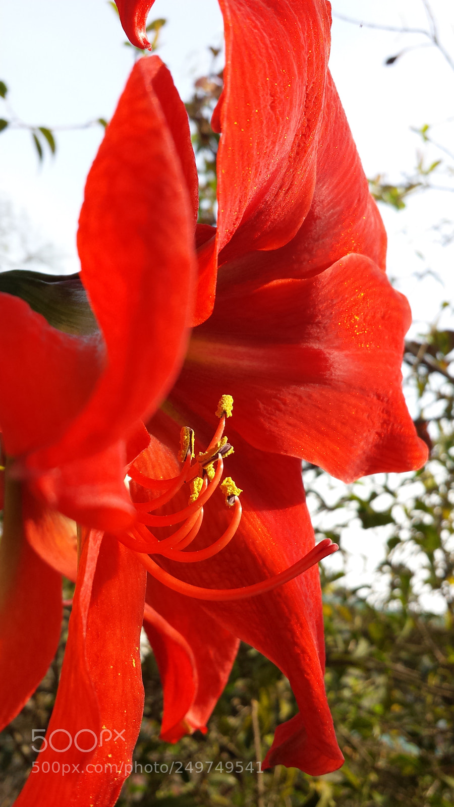 Samsung Galaxy S4 sample photo. Untitled photography