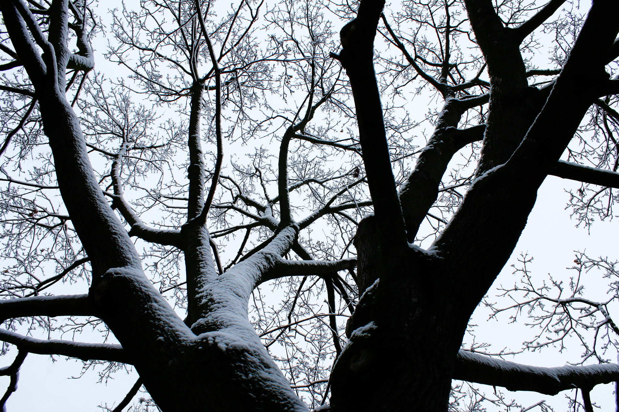 Canon EOS 70D sample photo. Tél-fa photography