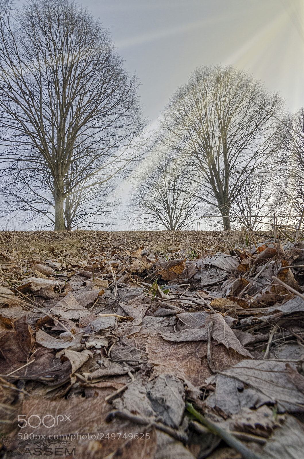 Nikon D7000 sample photo. End of winter photography