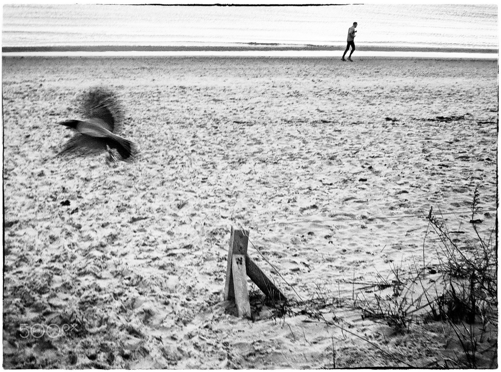 Nikon Coolpix P300 sample photo. Baltic sea # 2 photography