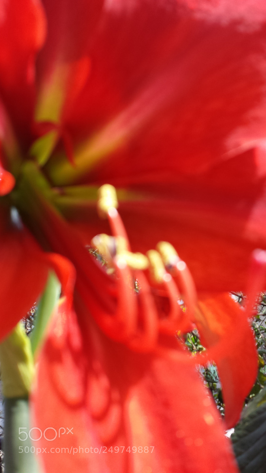 Samsung Galaxy S4 sample photo. Untitled photography