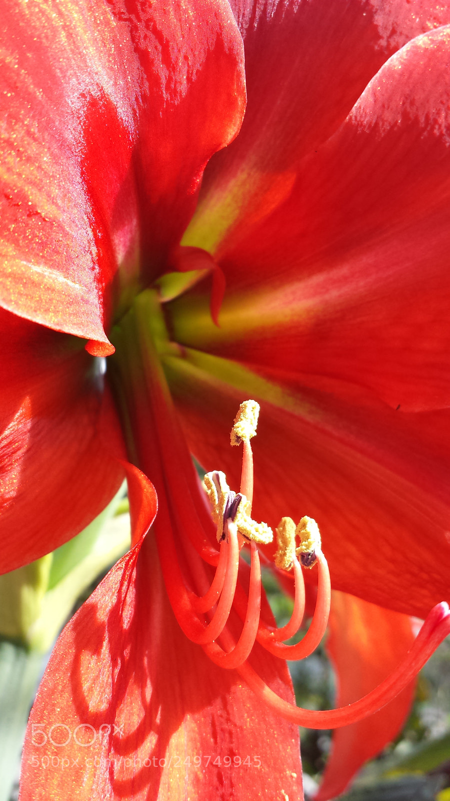 Samsung Galaxy S4 sample photo. Untitled photography