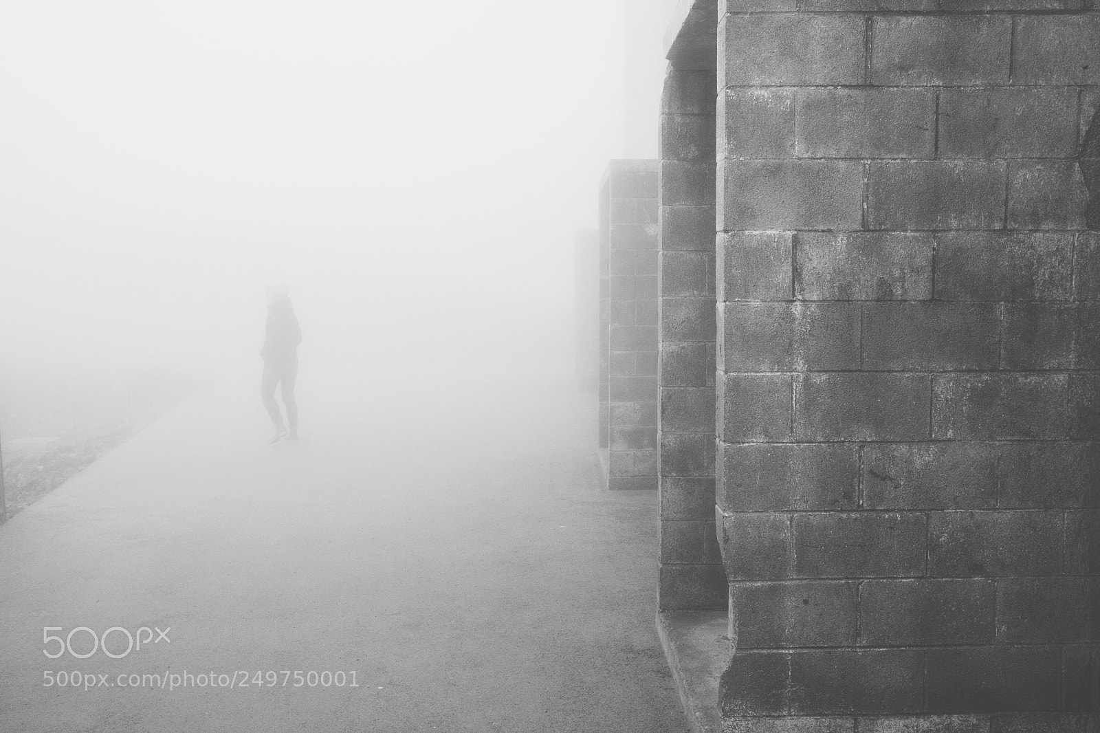 Fujifilm X-T2 sample photo. Fog on mount umunhum photography