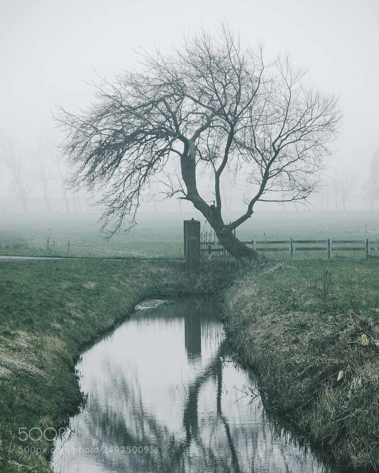 Fujifilm X-T2 sample photo. Daysgreys photography