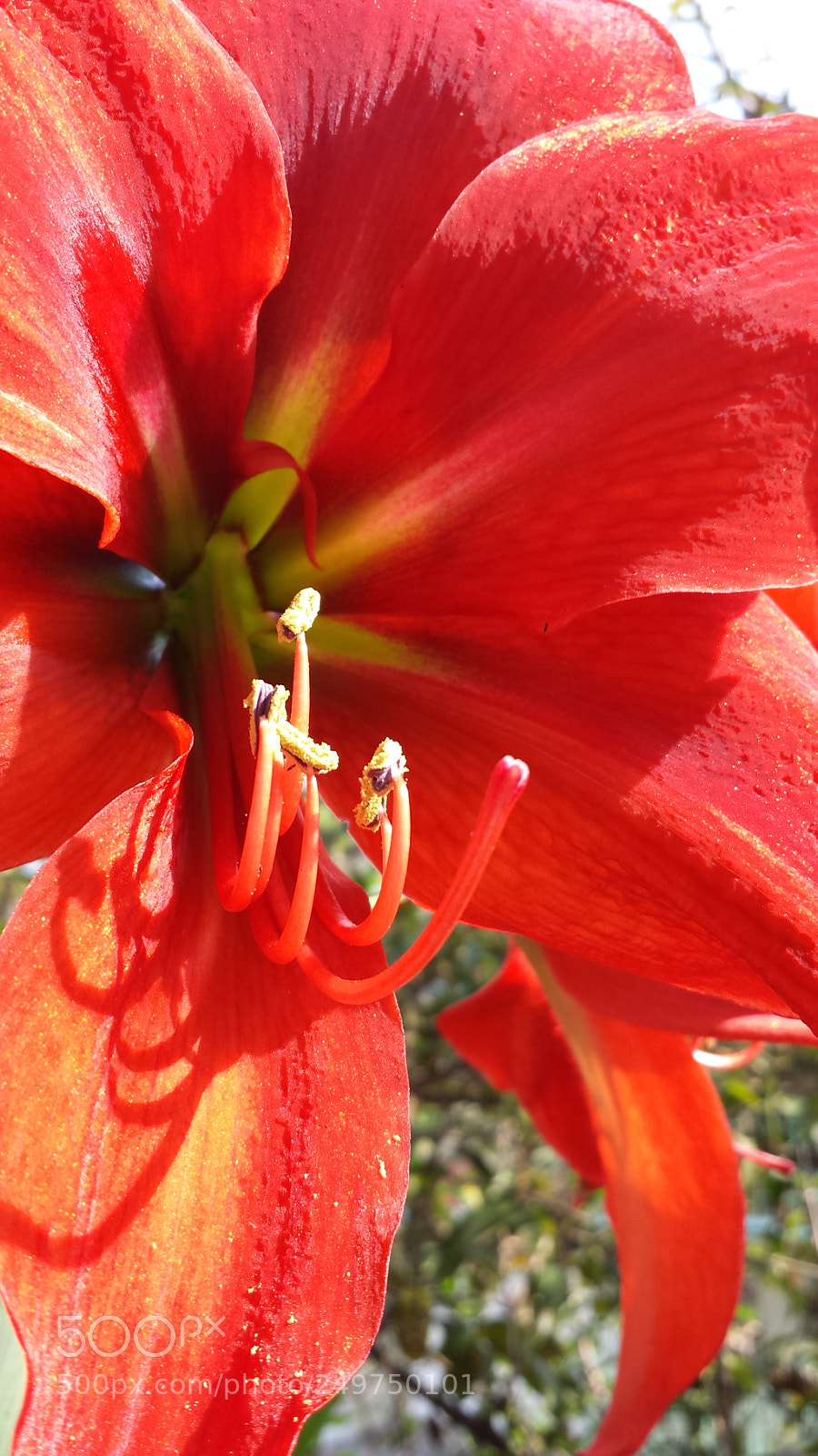 Samsung Galaxy S4 sample photo. Untitled photography