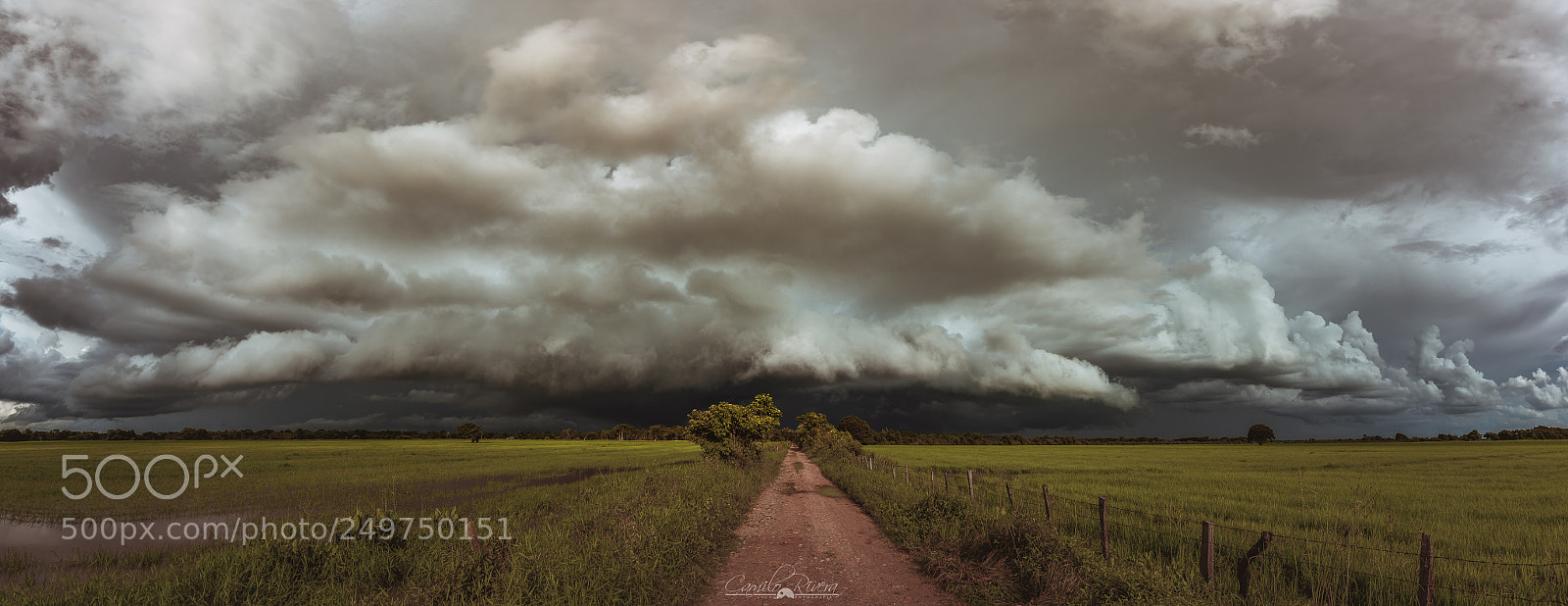 Nikon D810 sample photo. Storm is coming photography