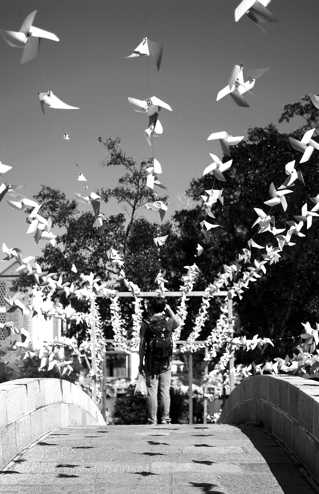 Nikon D5100 sample photo. Crossing over photography