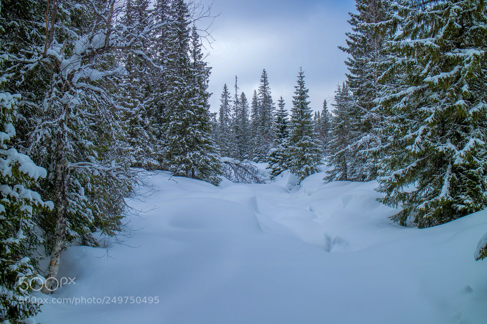 Canon EOS M3 sample photo. Snow photography