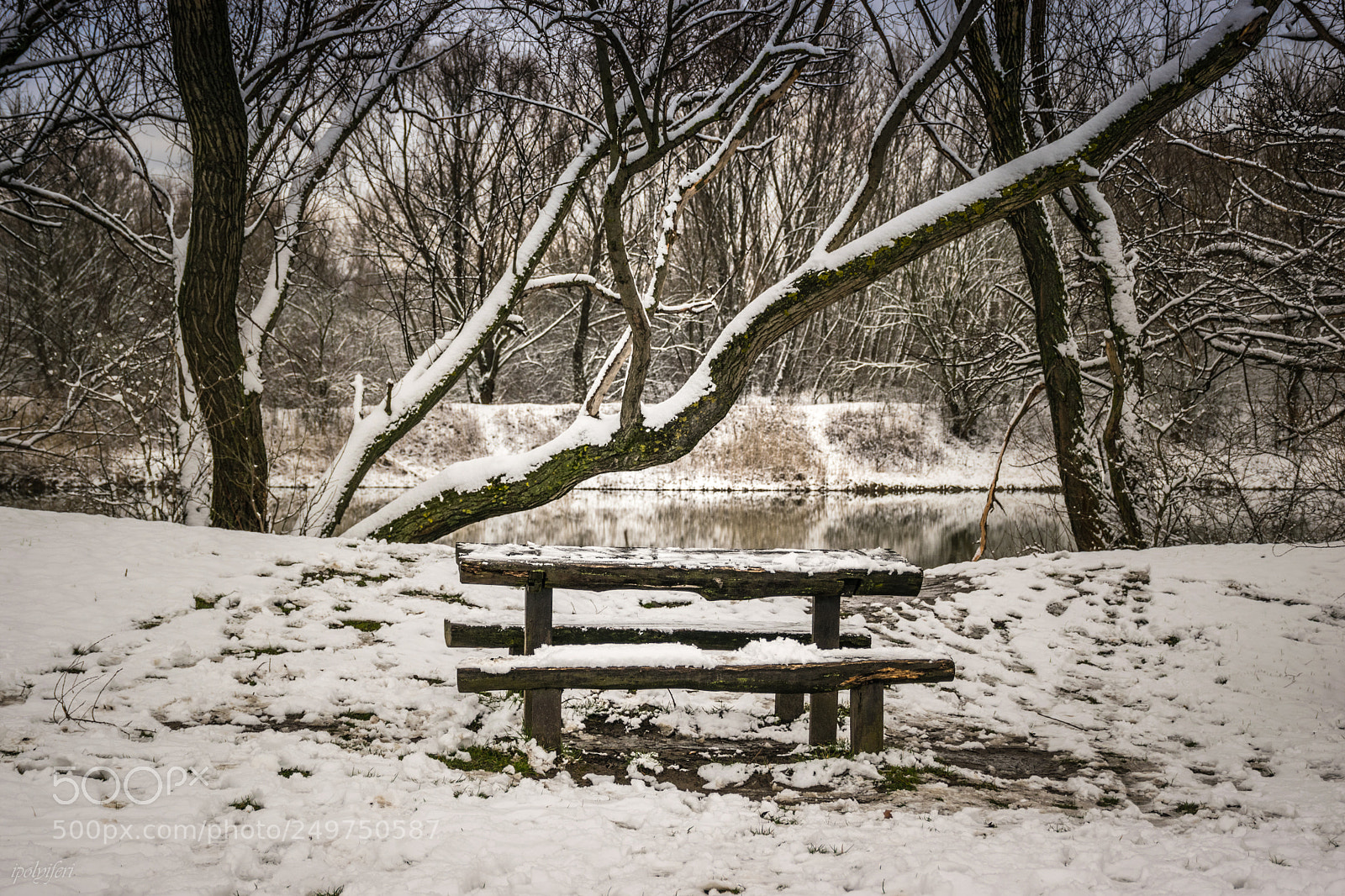 Nikon D5300 sample photo. Untitled photography