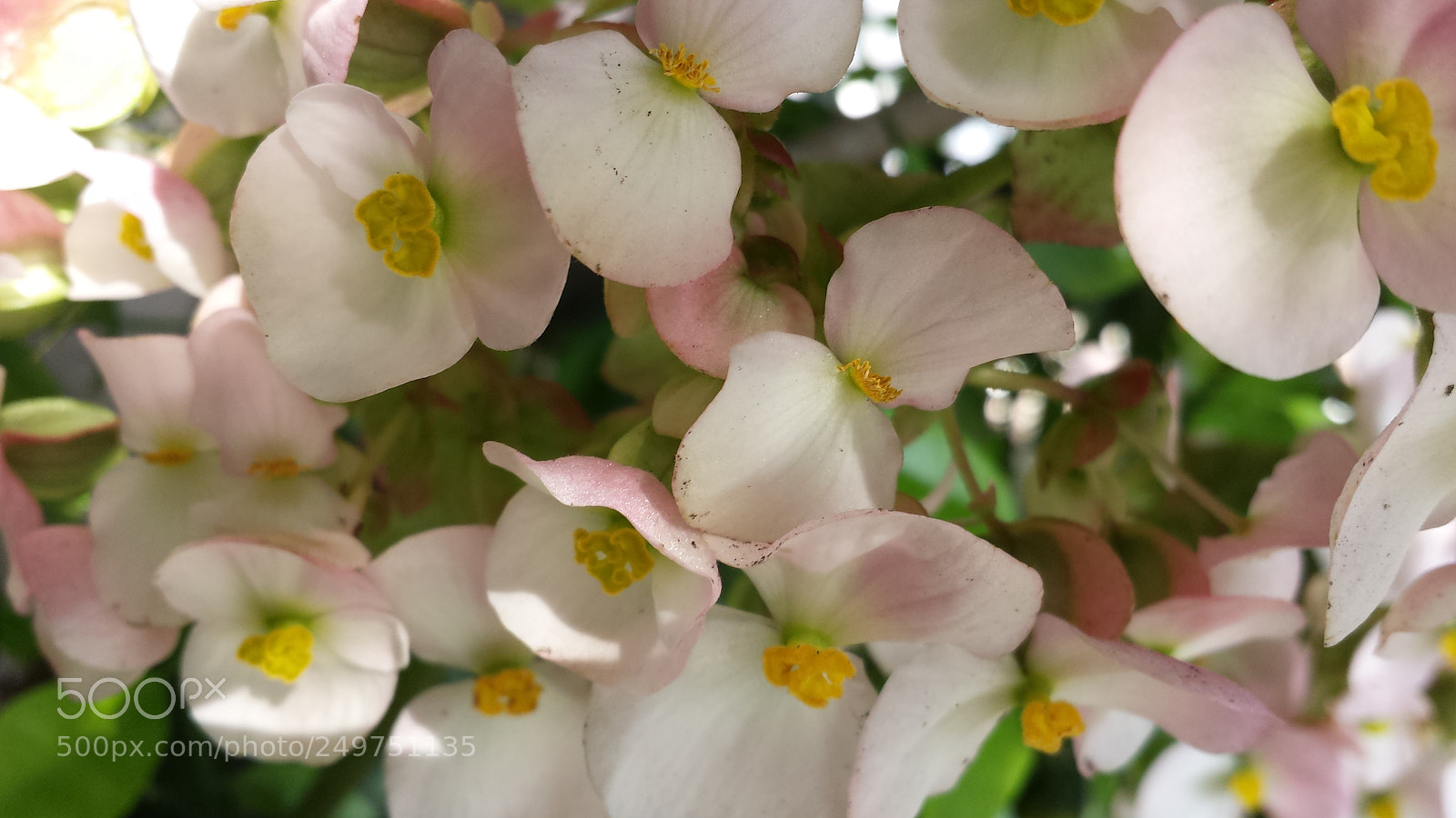 Samsung Galaxy S4 sample photo. Untitled photography