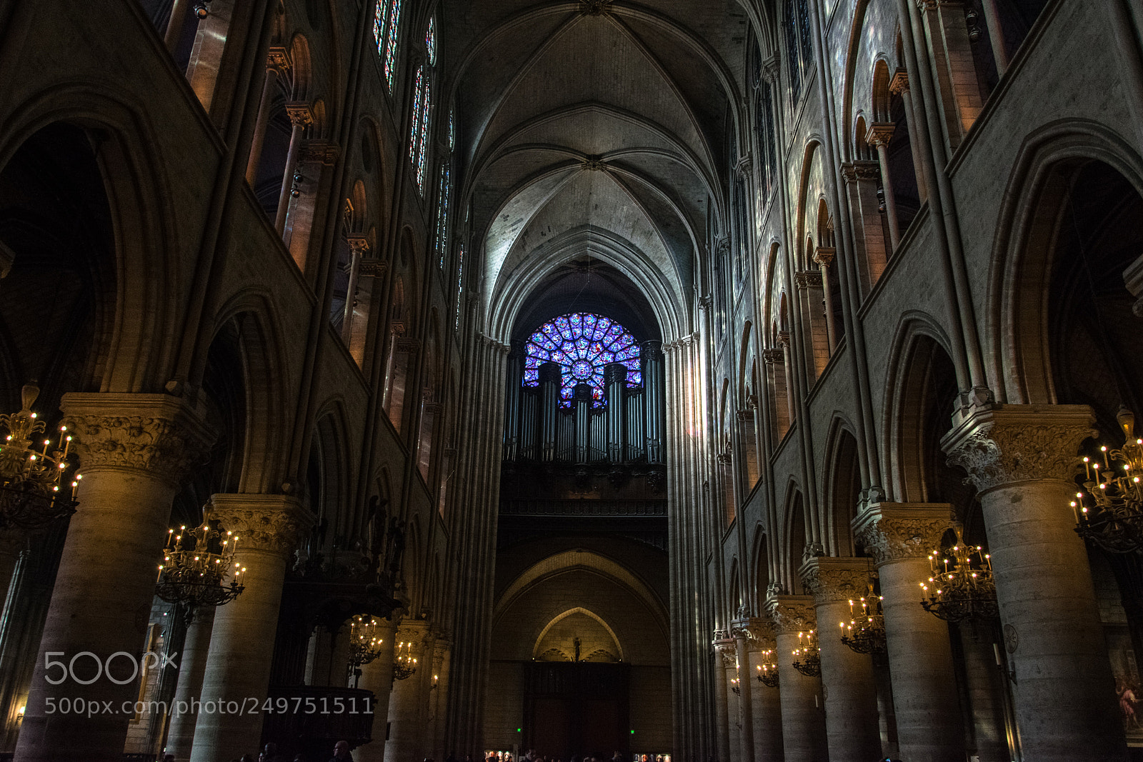 Nikon D5300 sample photo. Quasimodo photography