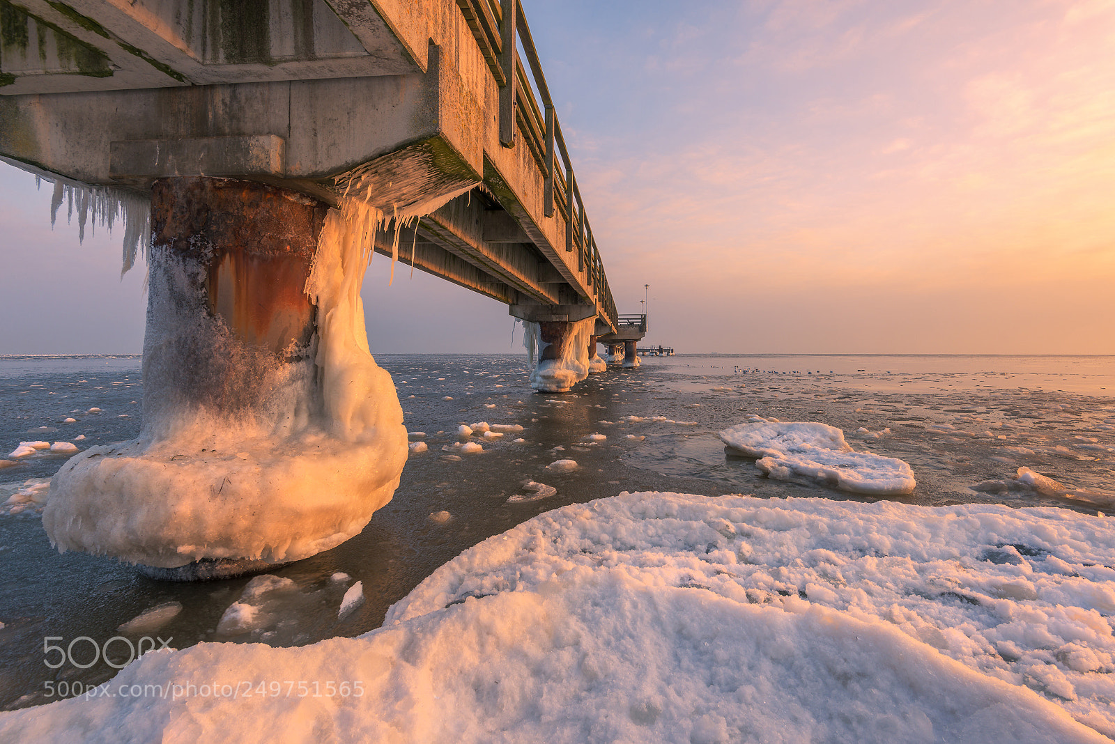 Nikon D800 sample photo. Frozen photography